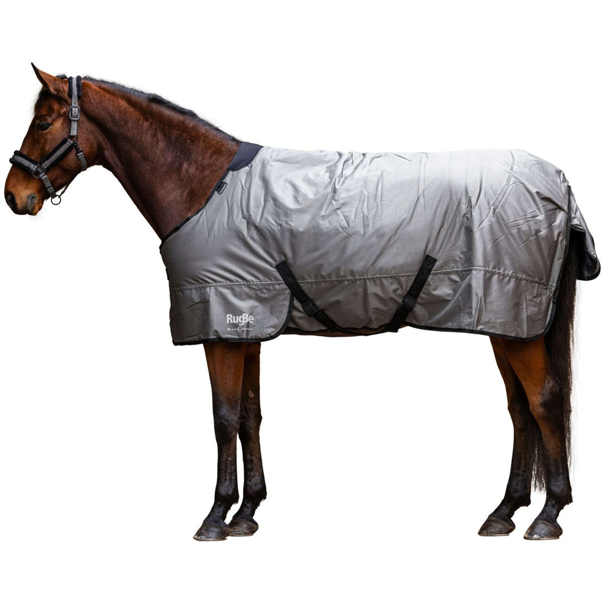 RugBe by Covalliero Winter Rug AW25 300g Steel Grey