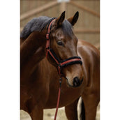 Covalliero Halter AW25 Rust