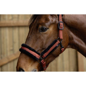 Covalliero Halter AW25 Rust