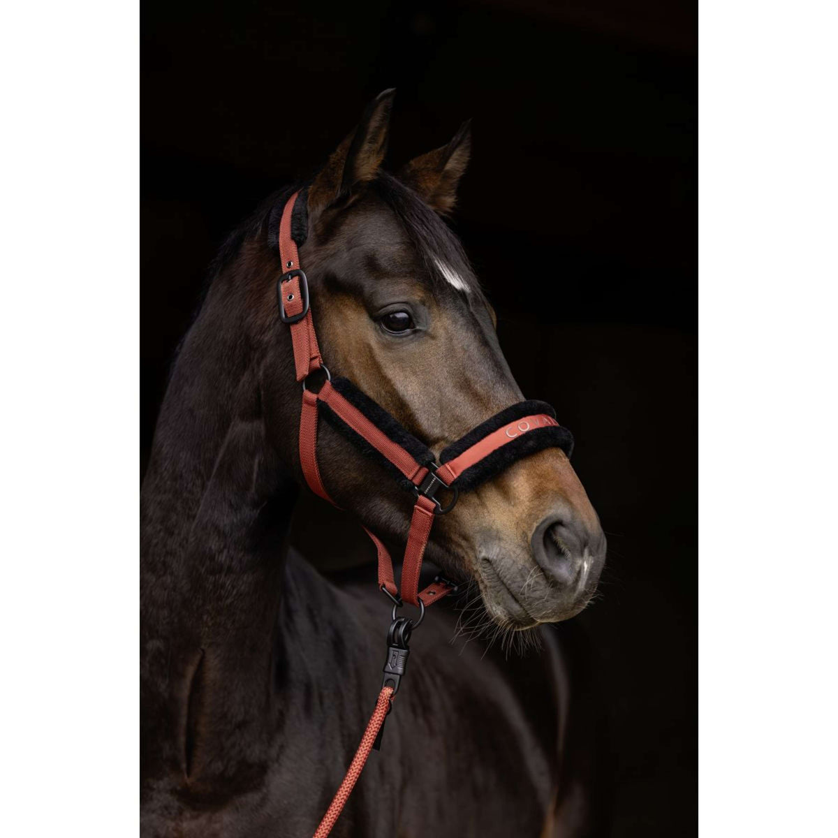 Covalliero Halter AW25 Rust