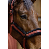 Covalliero Halter AW25 Rust