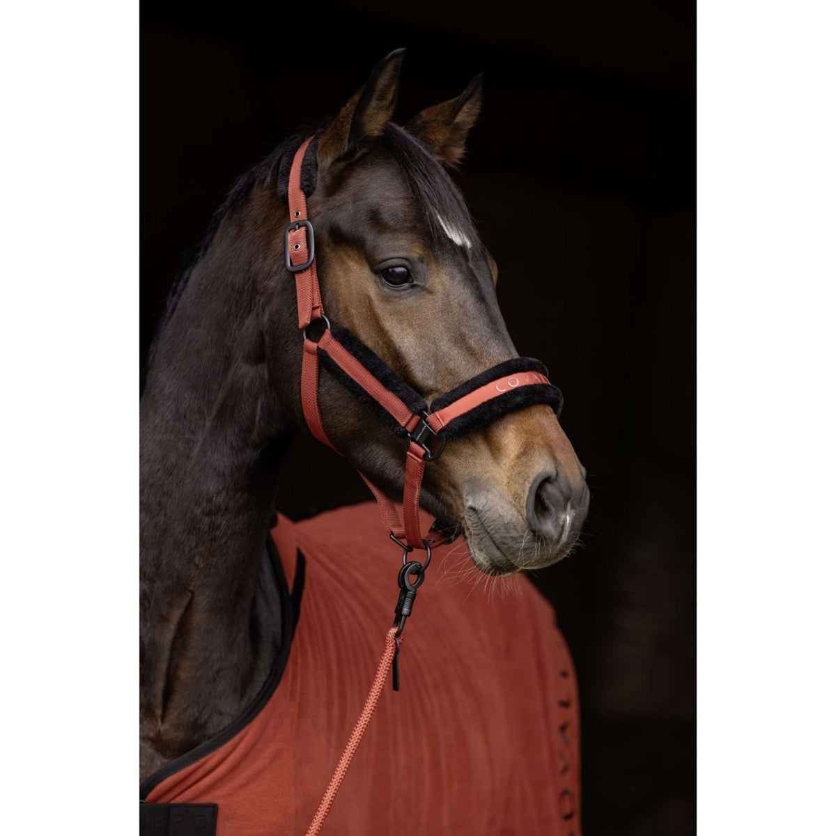 Covalliero Halter AW25 Rust