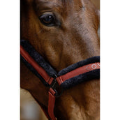 Covalliero Halter AW25 Rust