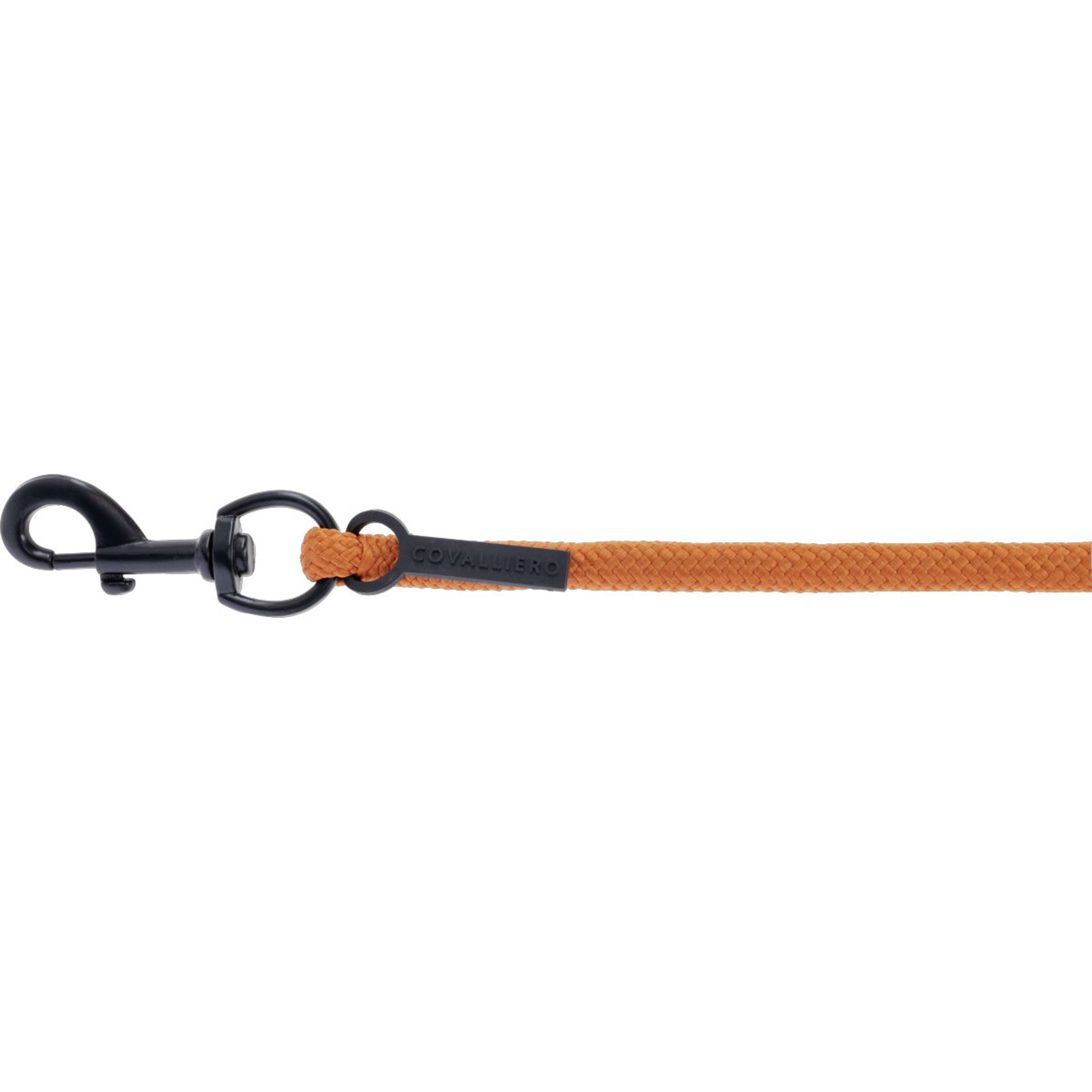 Covalliero Lead Rope AW26 with Carabiner Orange