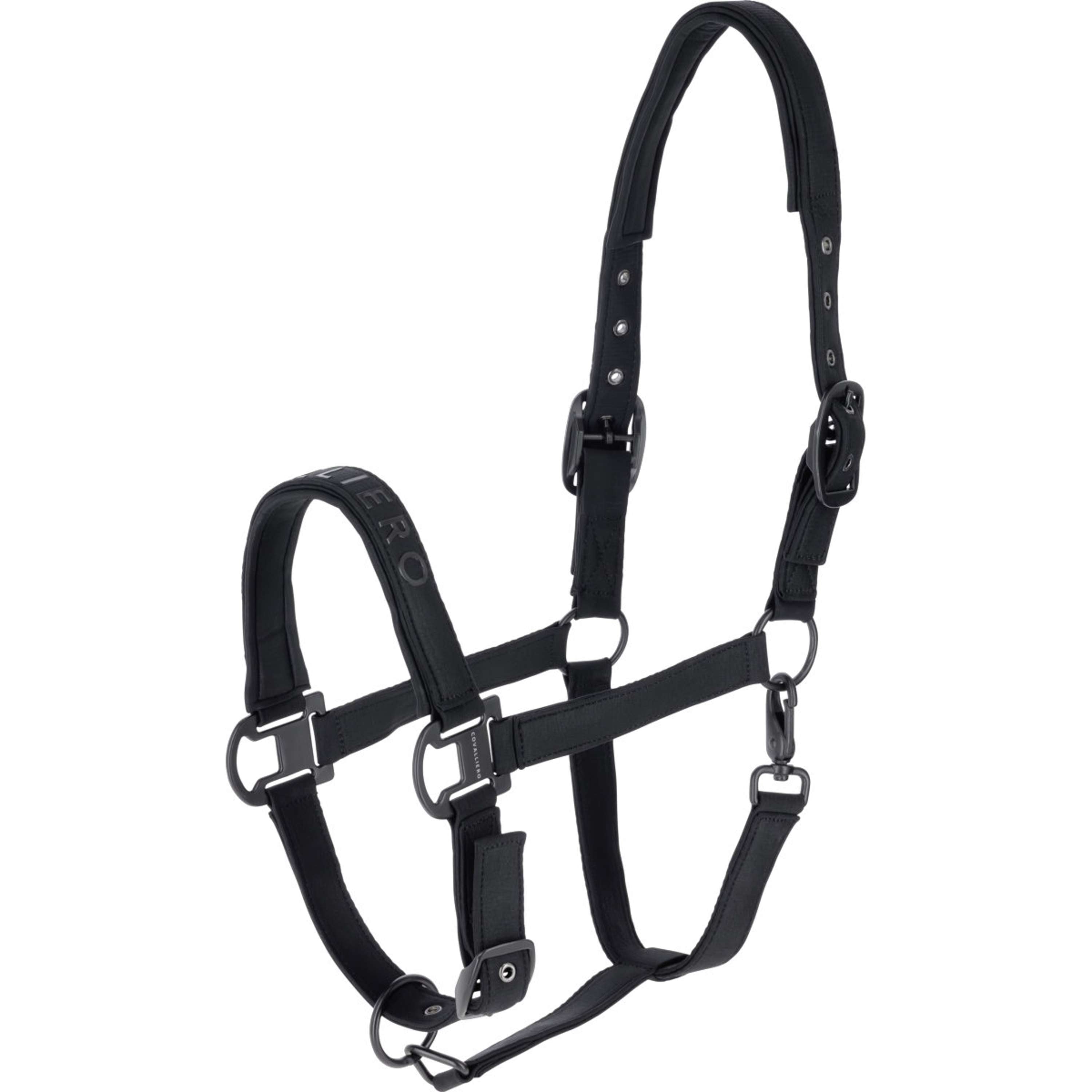 Covalliero Halter AW26 Black