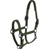 Covalliero Halter AW26 Forest Green