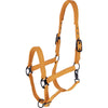 Covalliero Halter AW26 Orange
