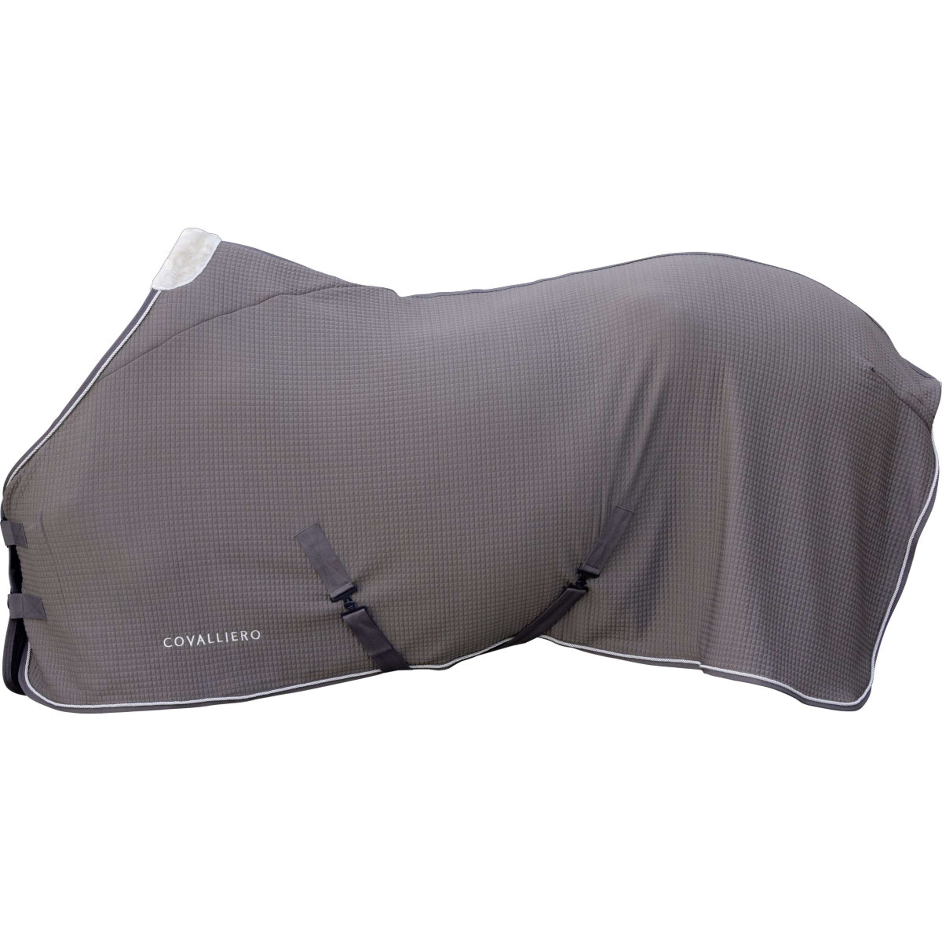 Covalliero Sweat Rug Premium AW26 Milky Chocolate