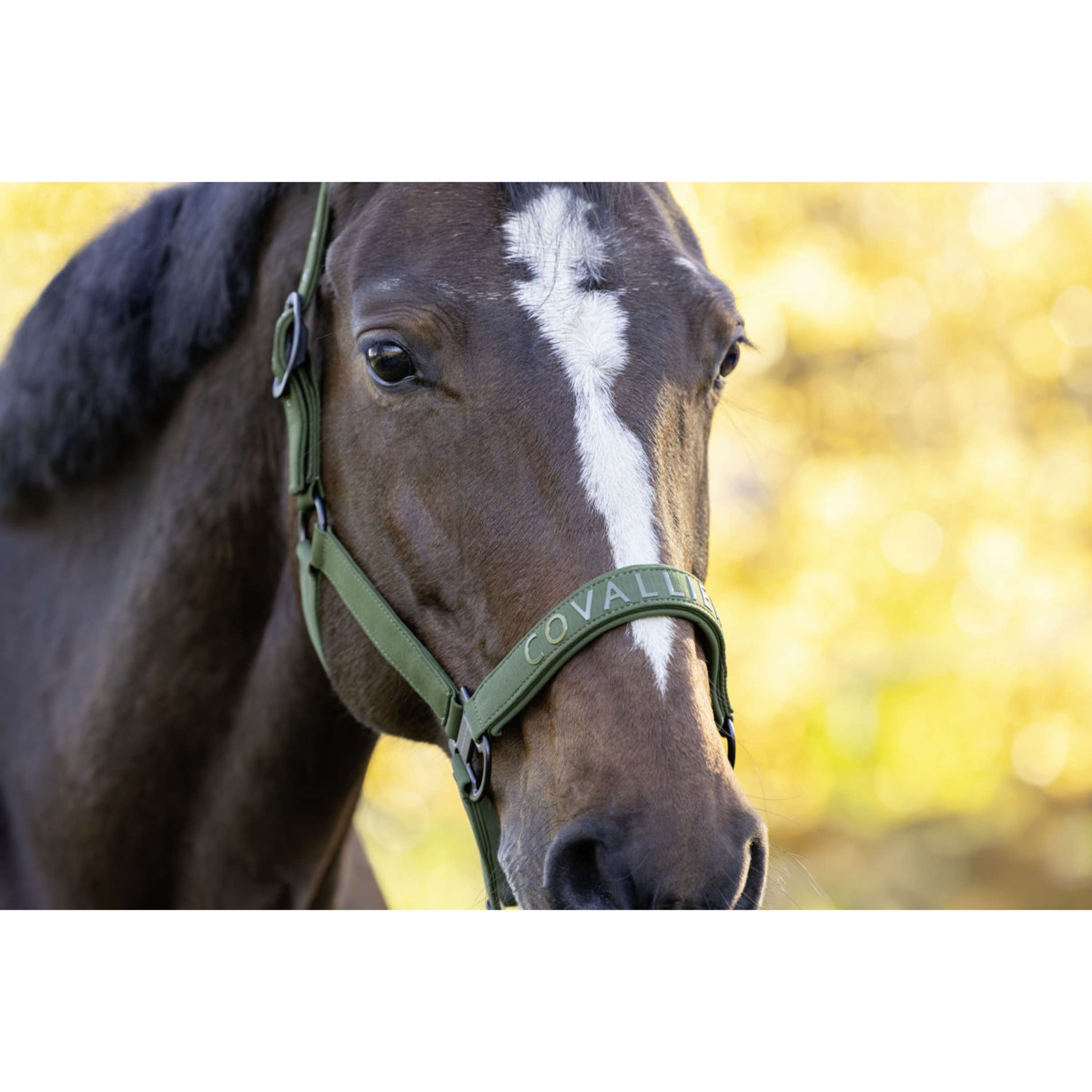 Covalliero Halter AW26 Forest Green