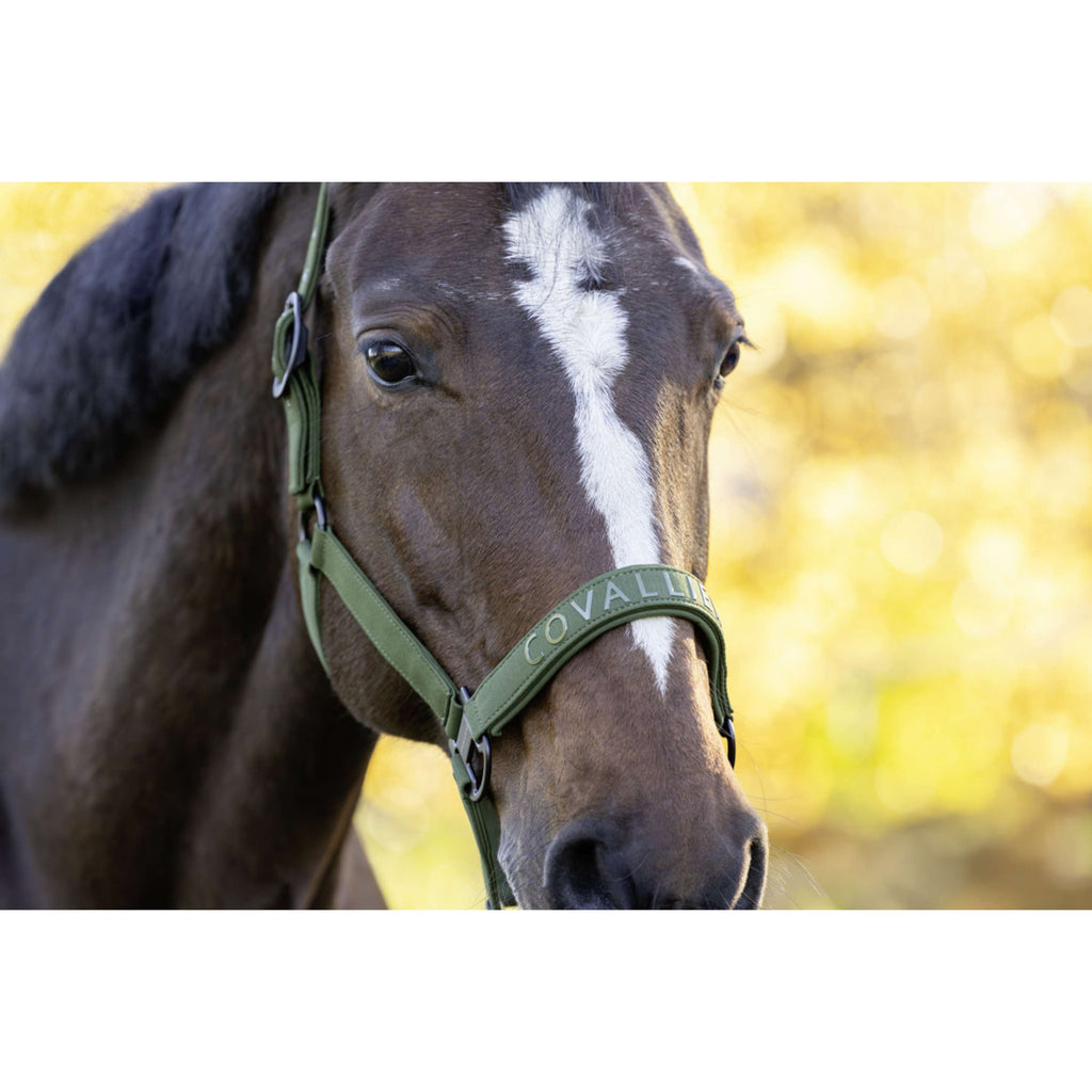 Covalliero Halter AW26 Forest Green