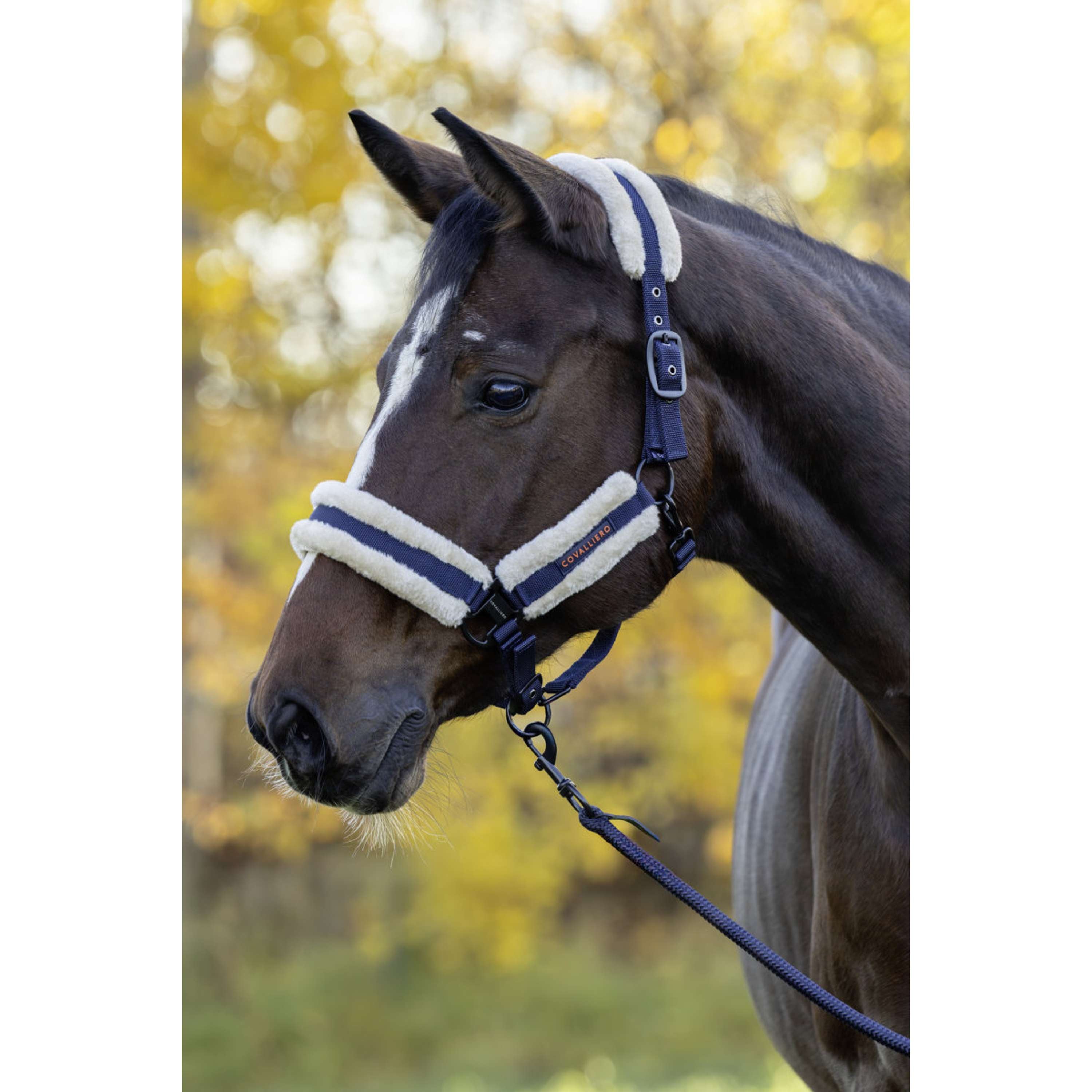 Covalliero Halter Soft AW26 Dark Navy