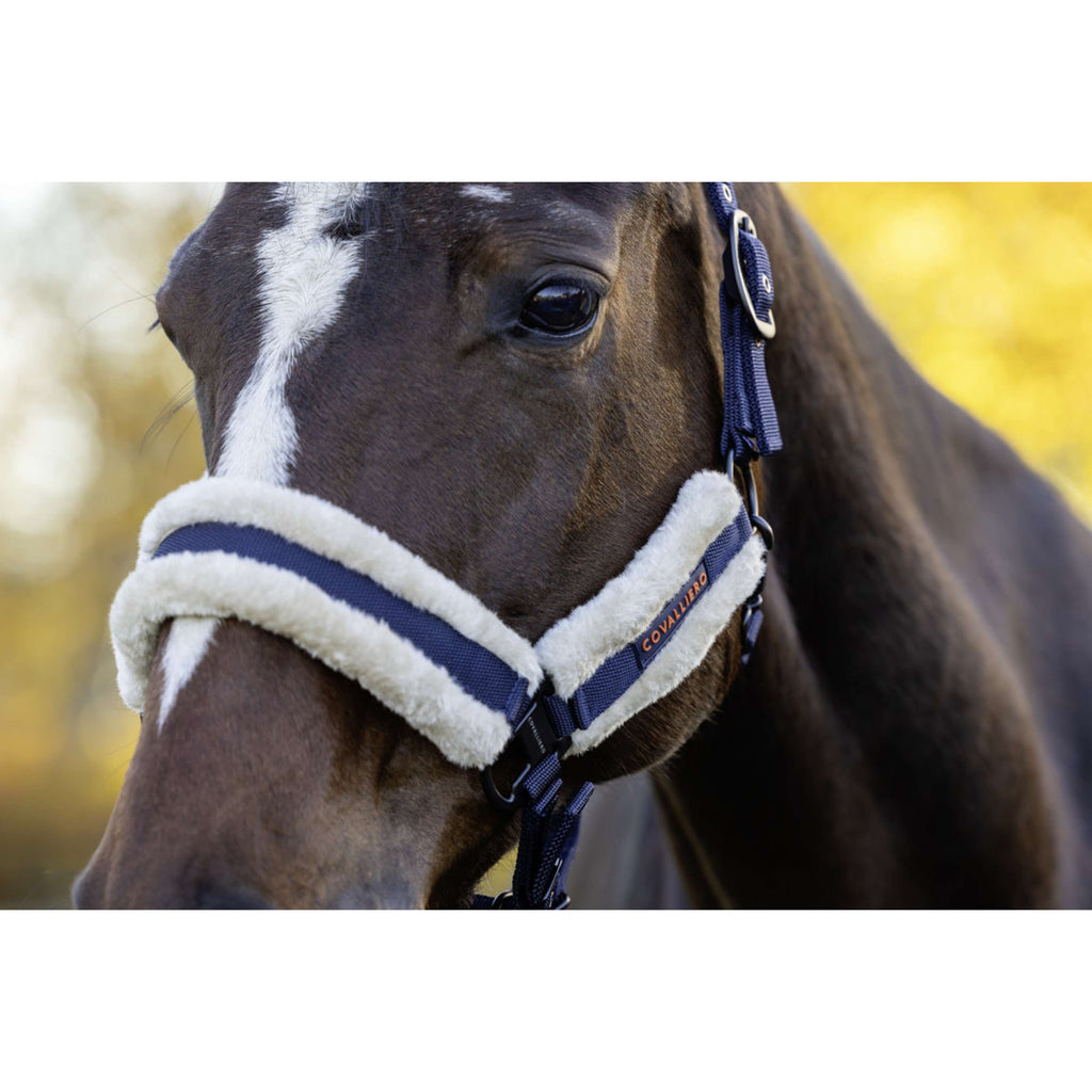 Covalliero Halter Soft AW26 Dark Navy