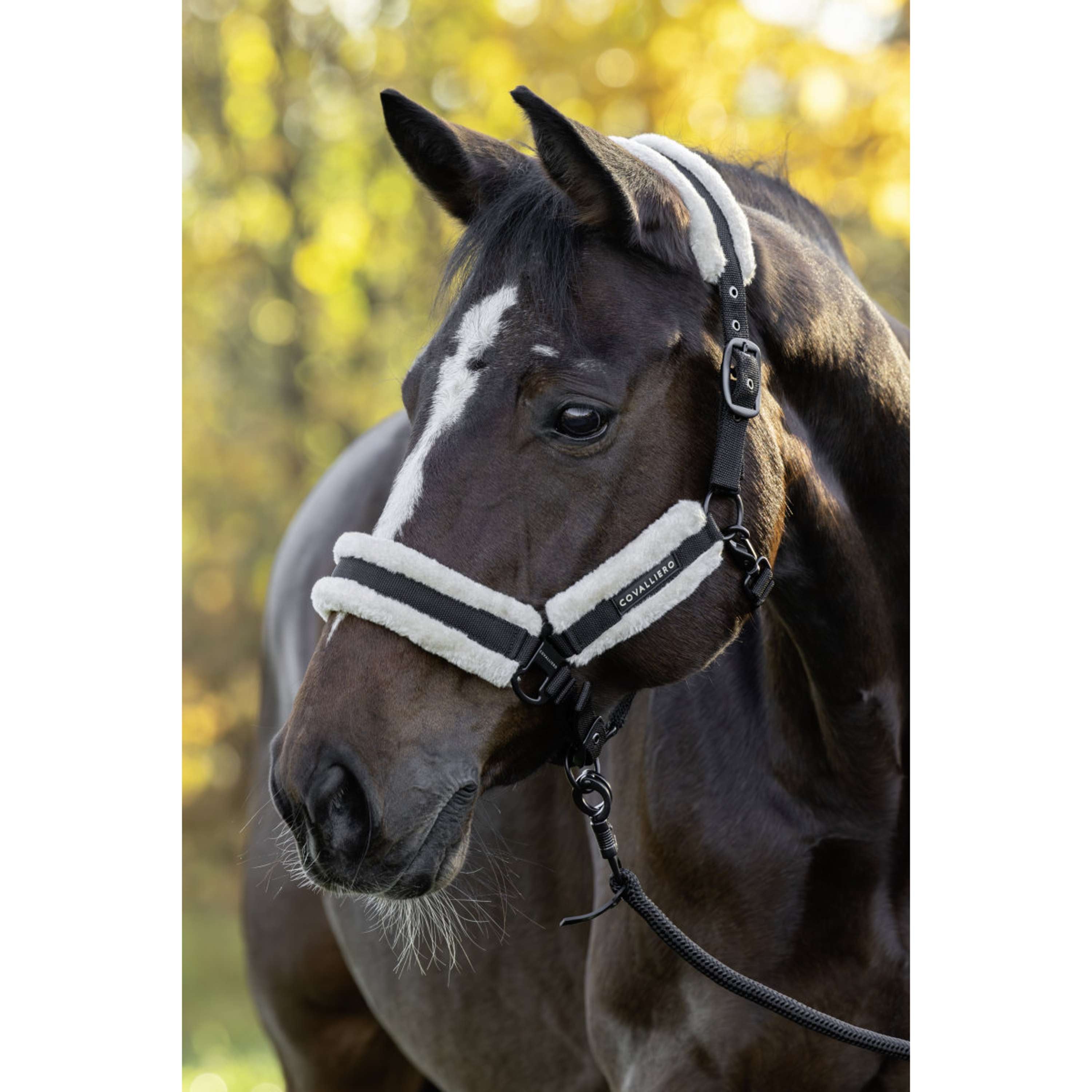 Covalliero Halter Soft AW26 Black