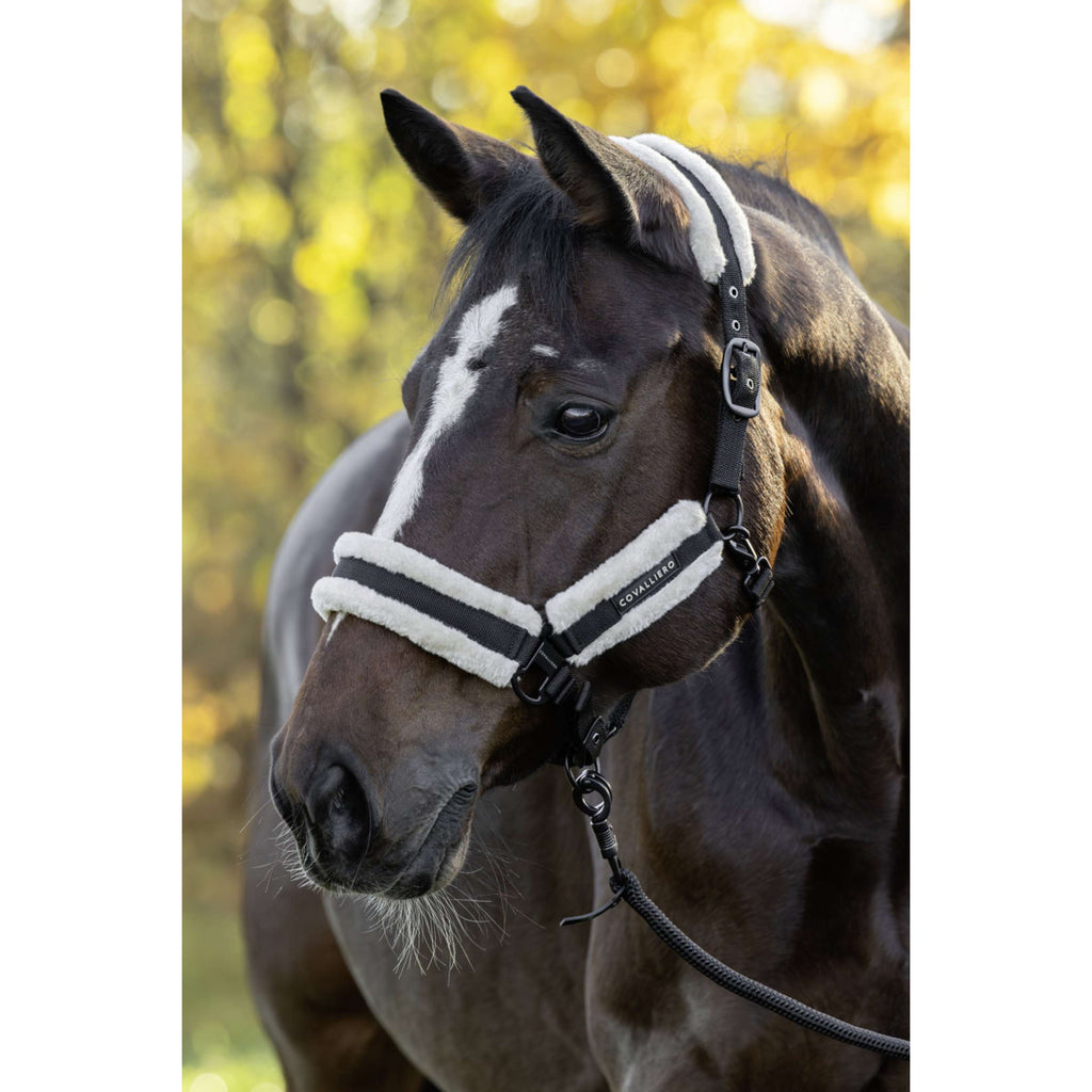 Covalliero Halter Soft AW26 Black