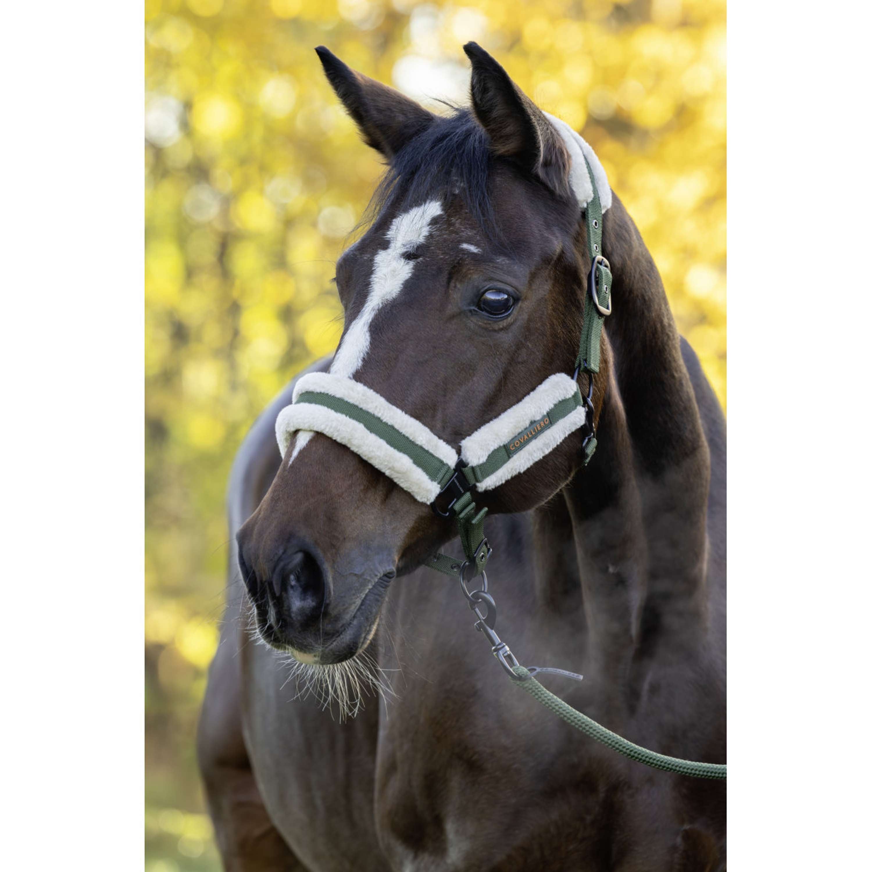 Covalliero Halter Soft AW26 Forest Green