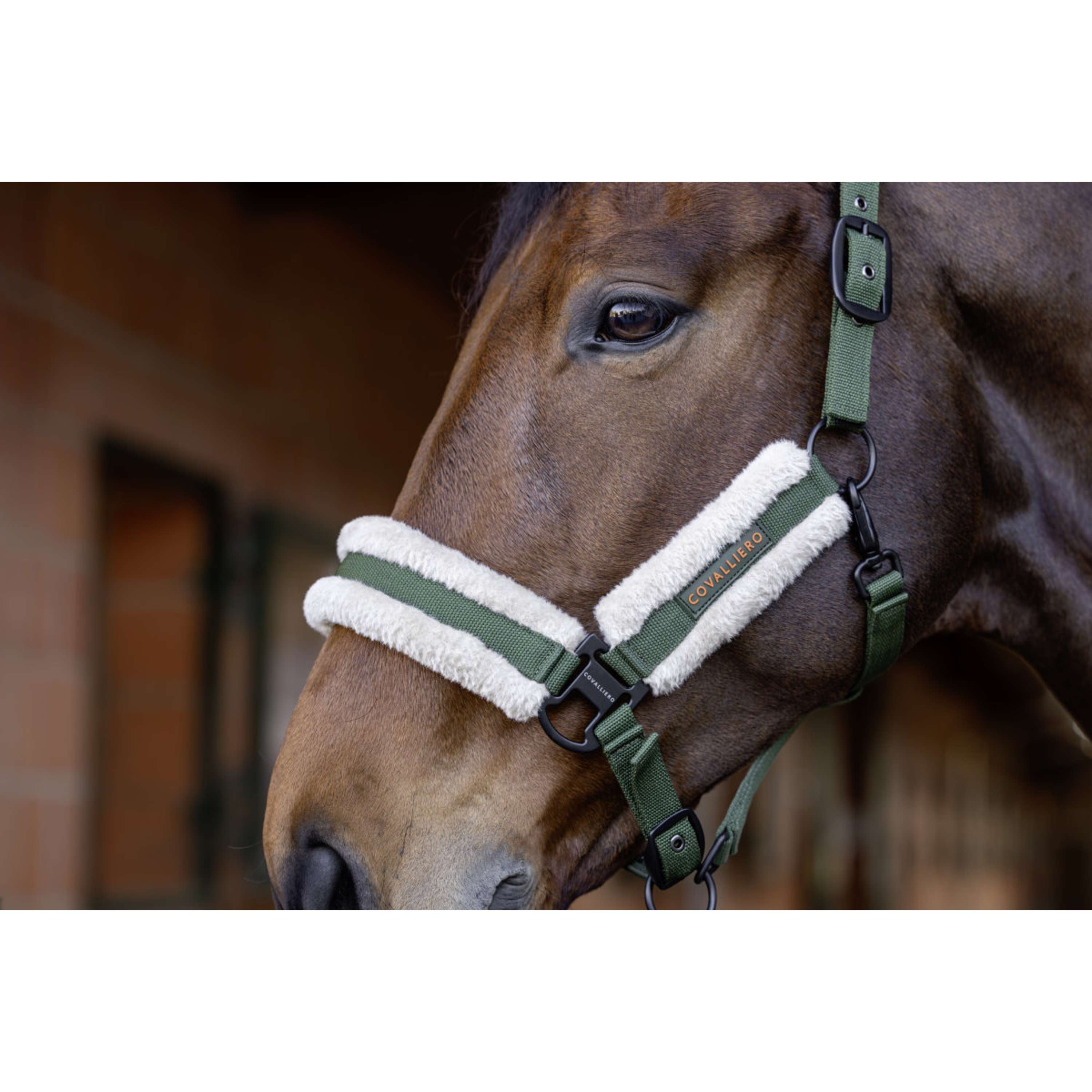 Covalliero Halter Soft AW26 Forest Green