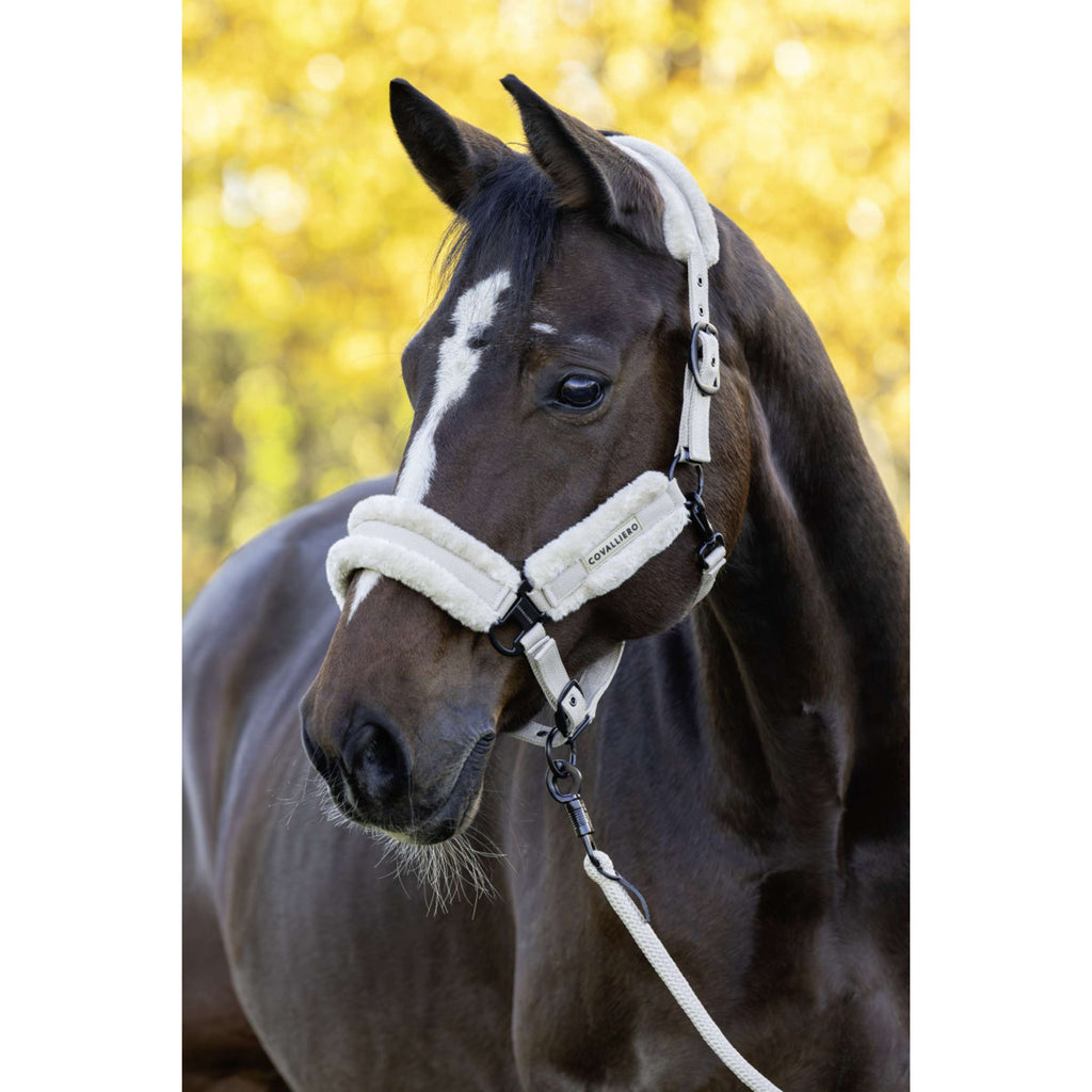 Covalliero Halter Soft AW26 Beige