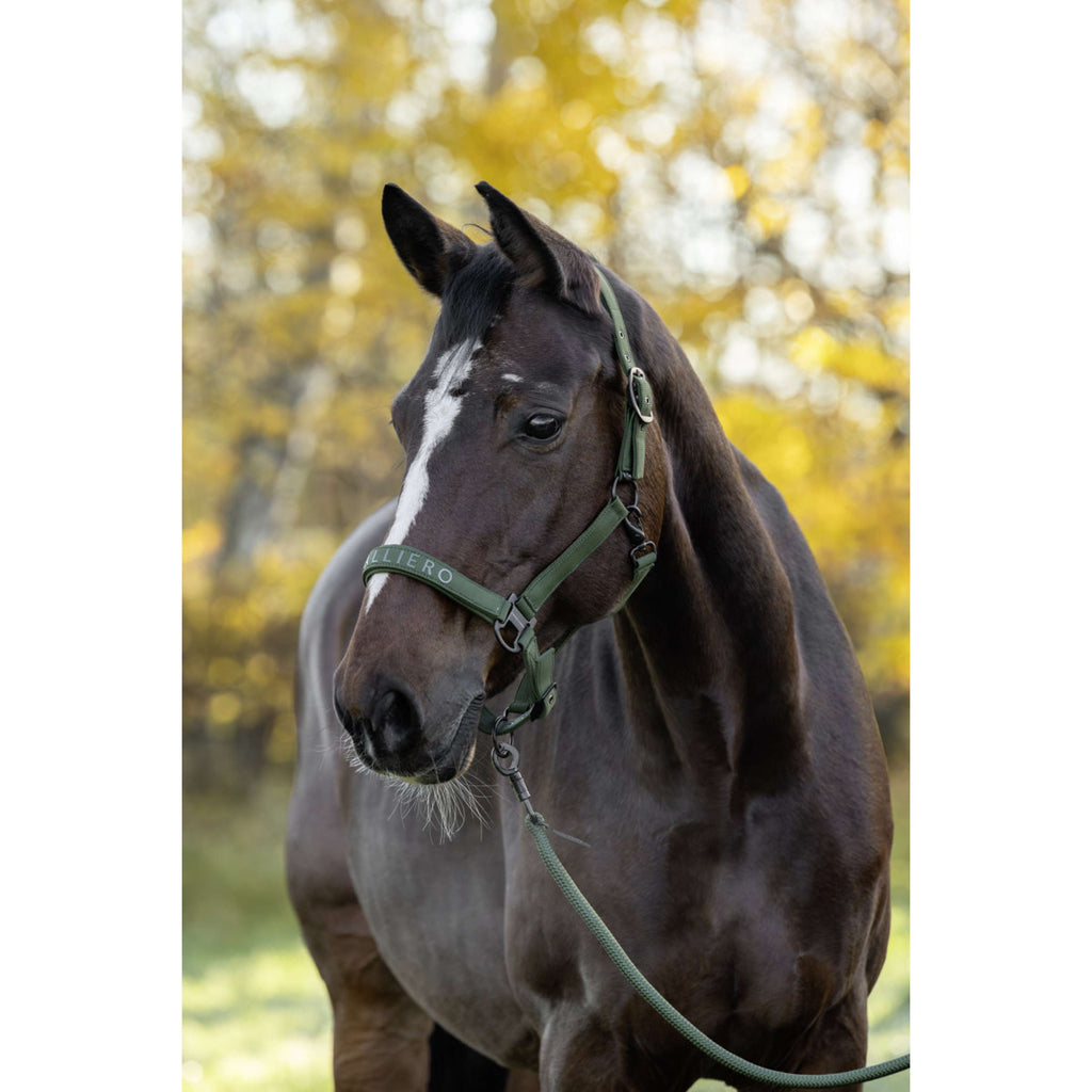 Covalliero Halter AW26 Forest Green