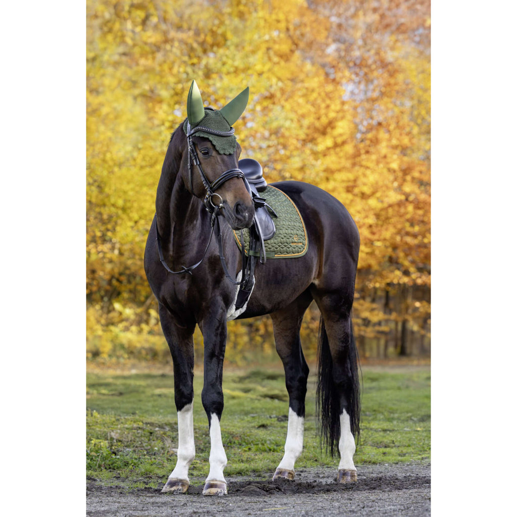 Covalliero Saddlepad Soft AW26 Dressage Forest Green