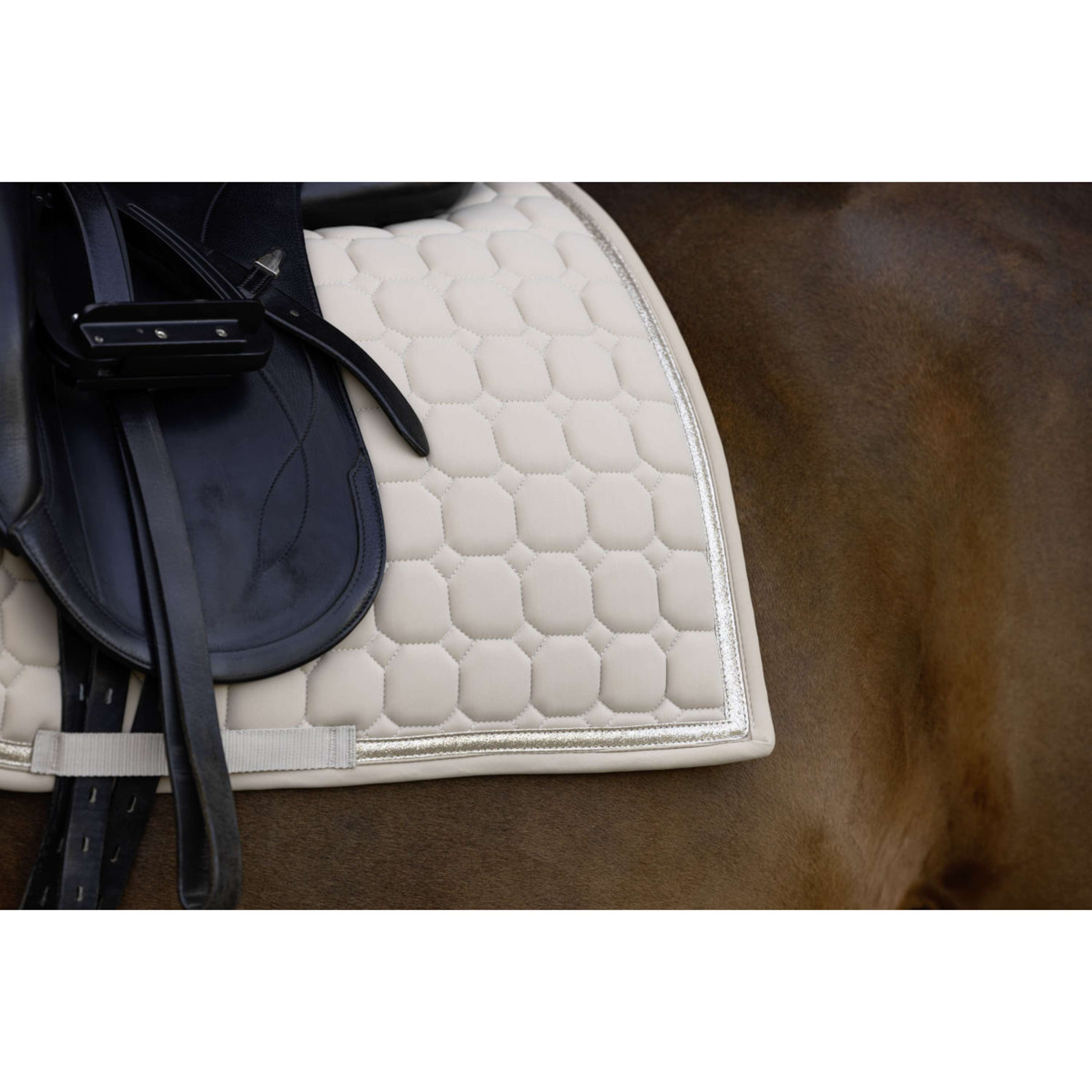 Covalliero Saddlepad AW26 Dressage Beige