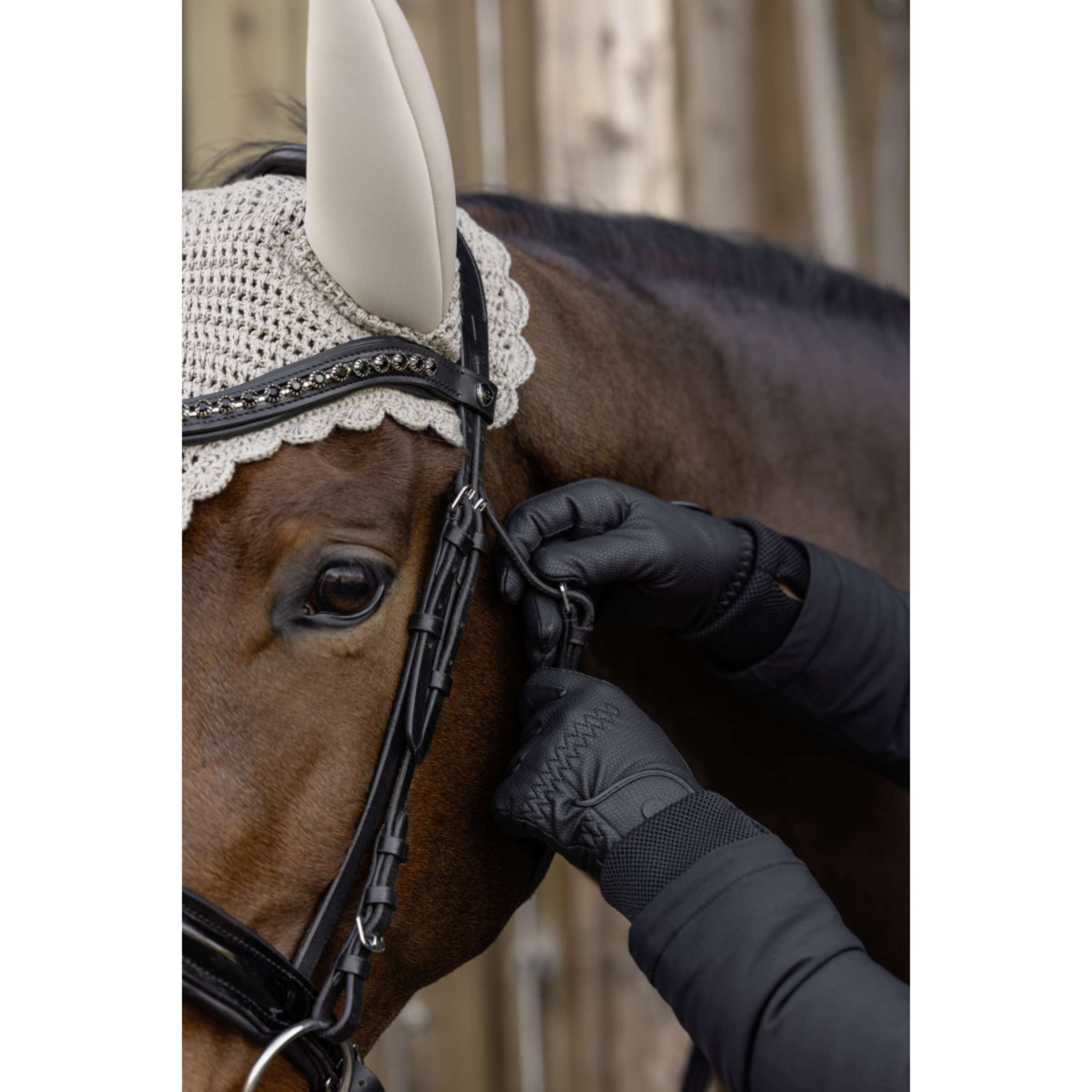 Covalliero Riding Gloves AW26 Black