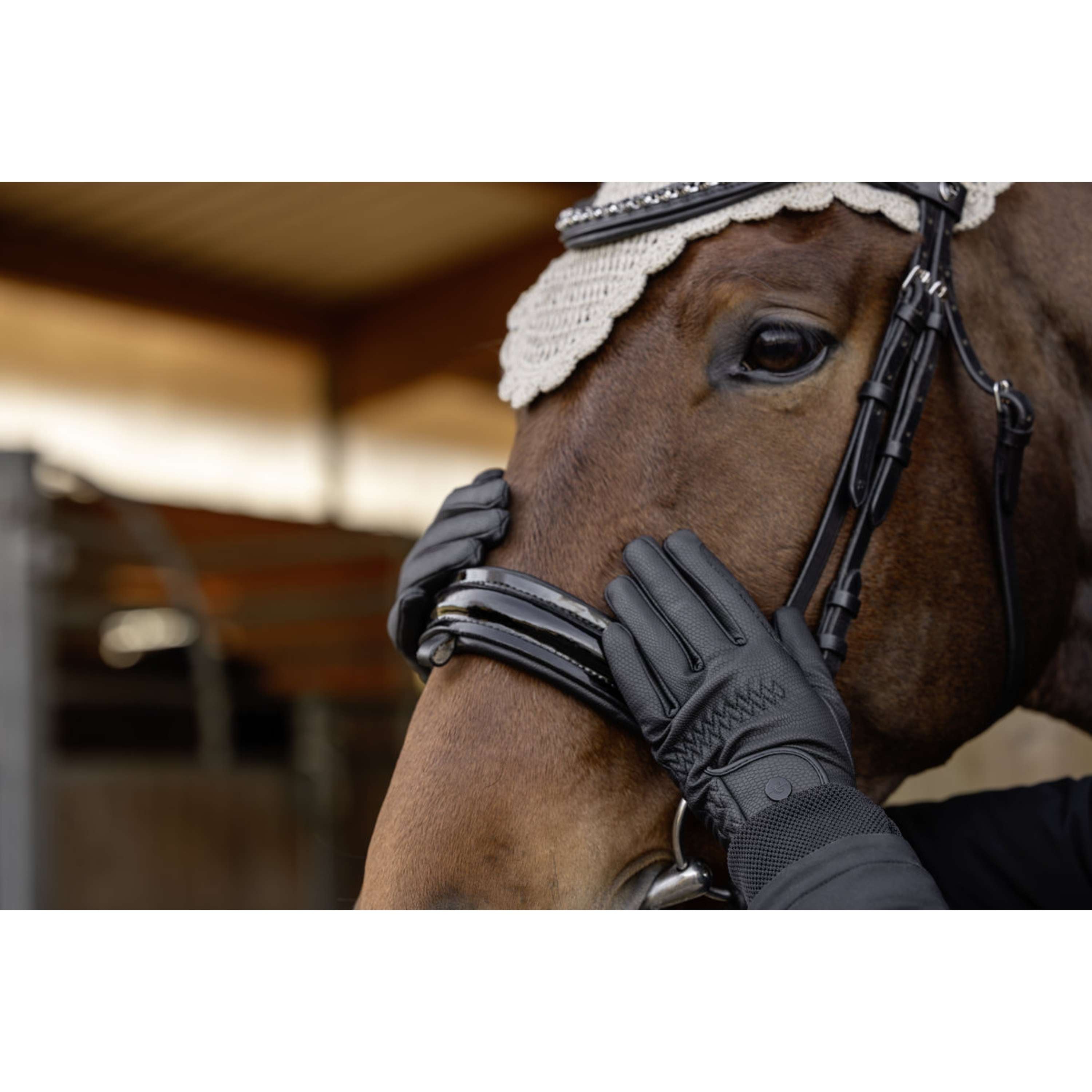 Covalliero Riding Gloves AW26 Black