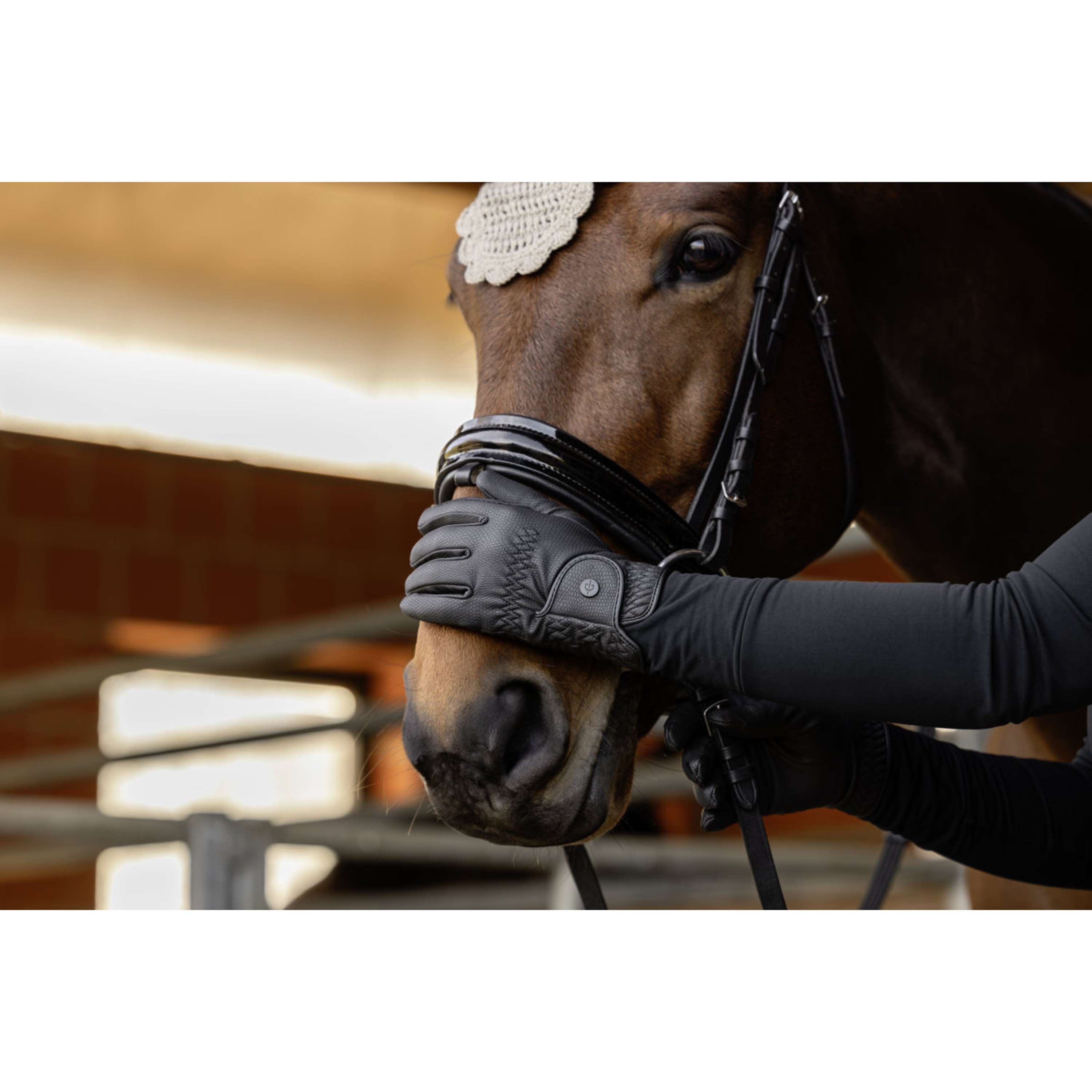 Covalliero Riding Gloves AW26 Black