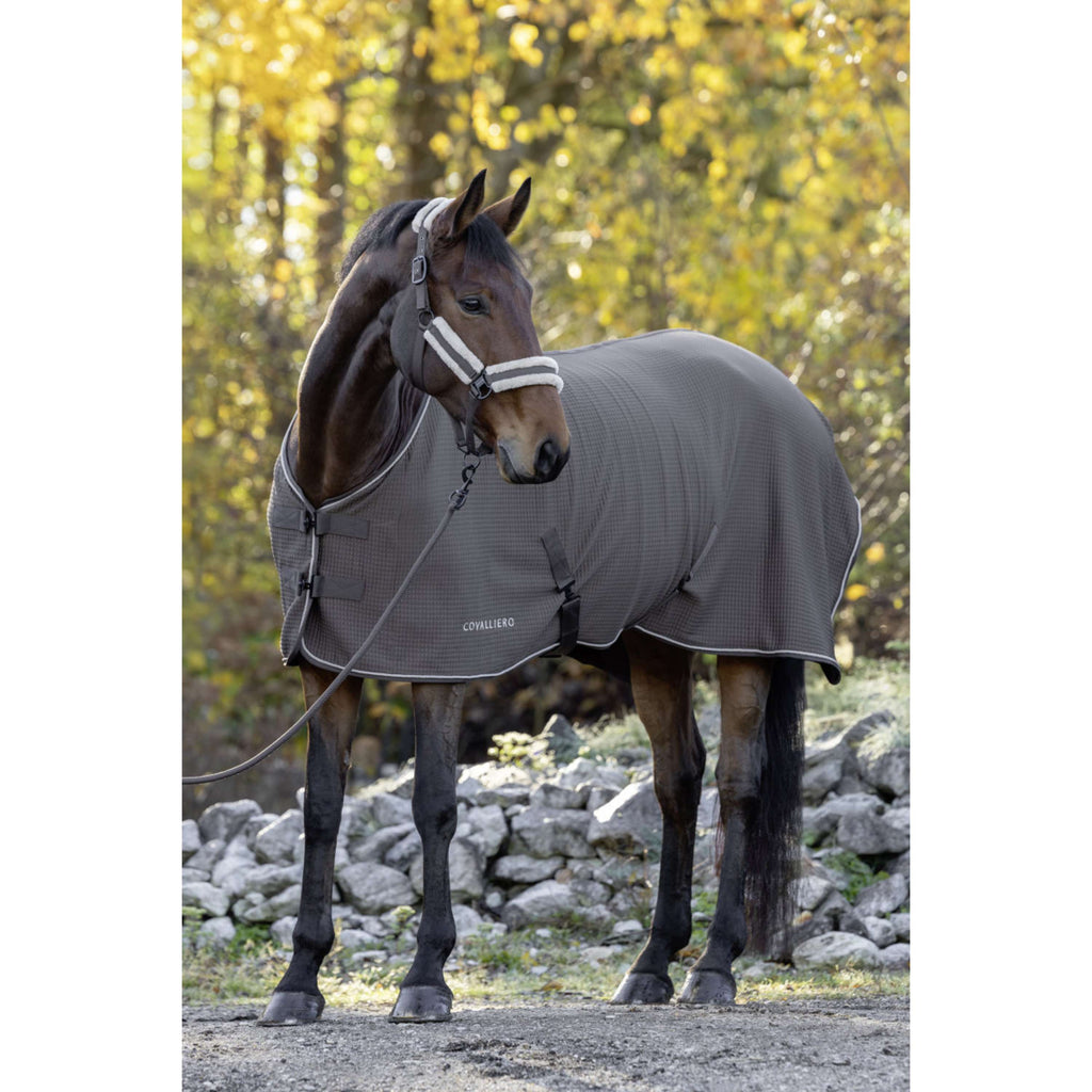 Covalliero Sweat Rug Premium AW26 Milky Chocolate