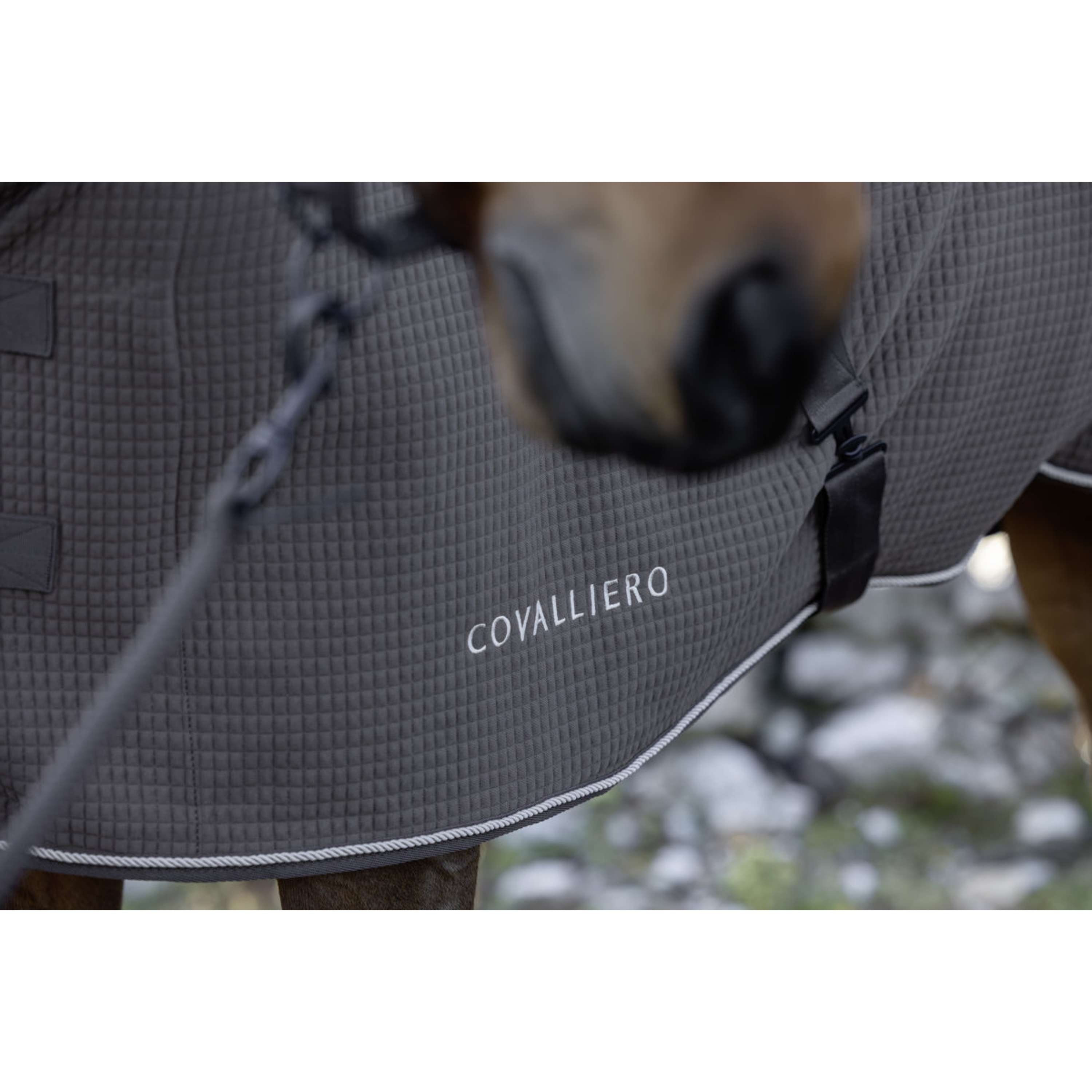 Covalliero Sweat Rug Premium AW26 Milky Chocolate