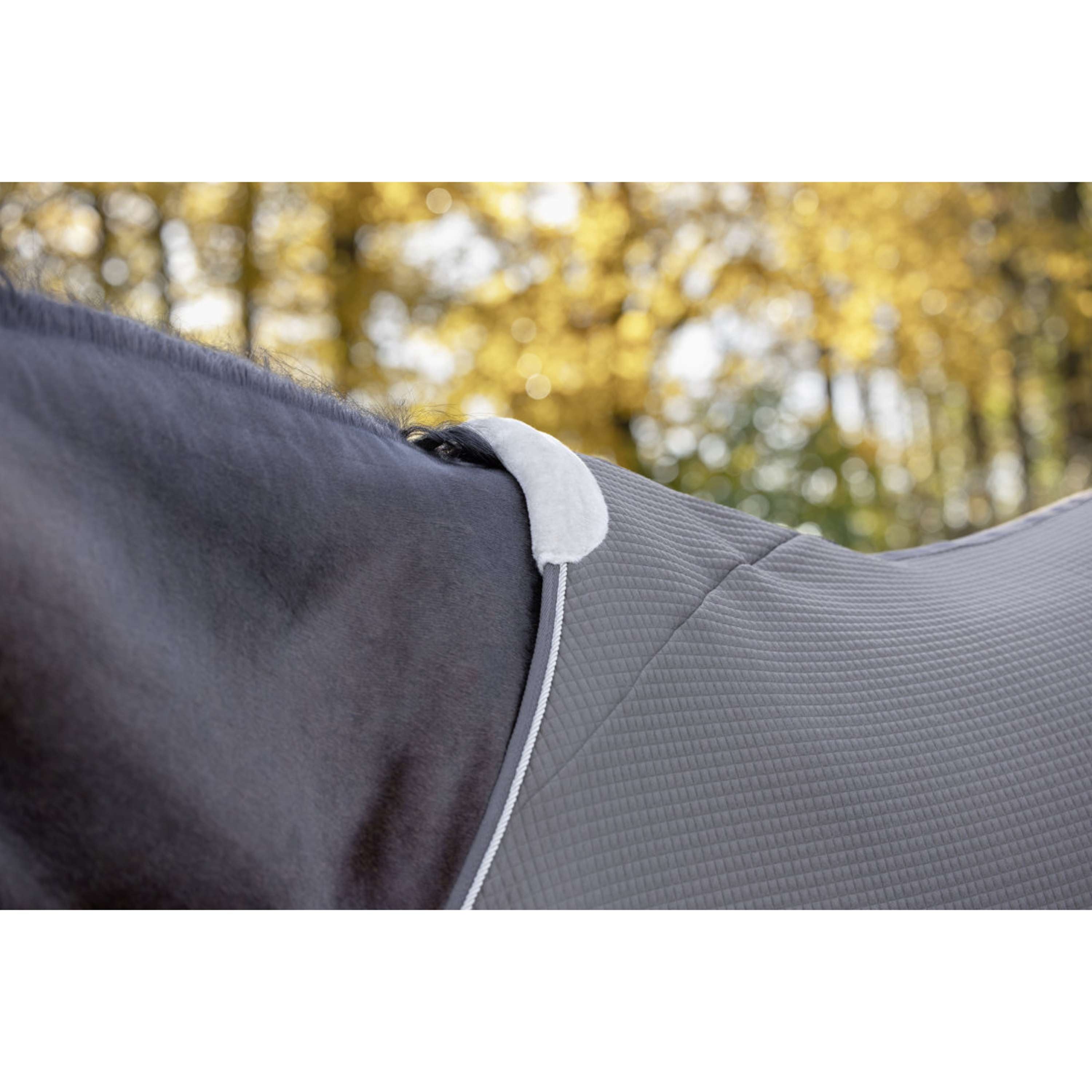 Covalliero Sweat Rug Premium AW26 Milky Chocolate