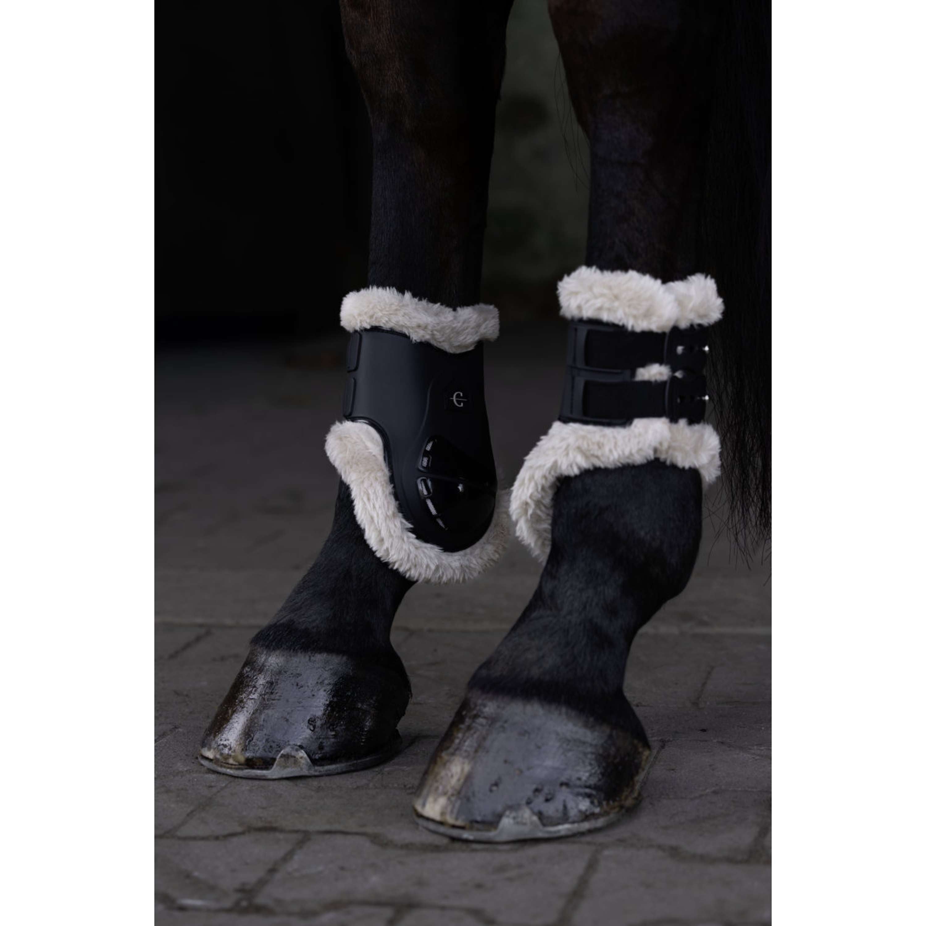 Covalliero Fetlock Boots AW26 Black