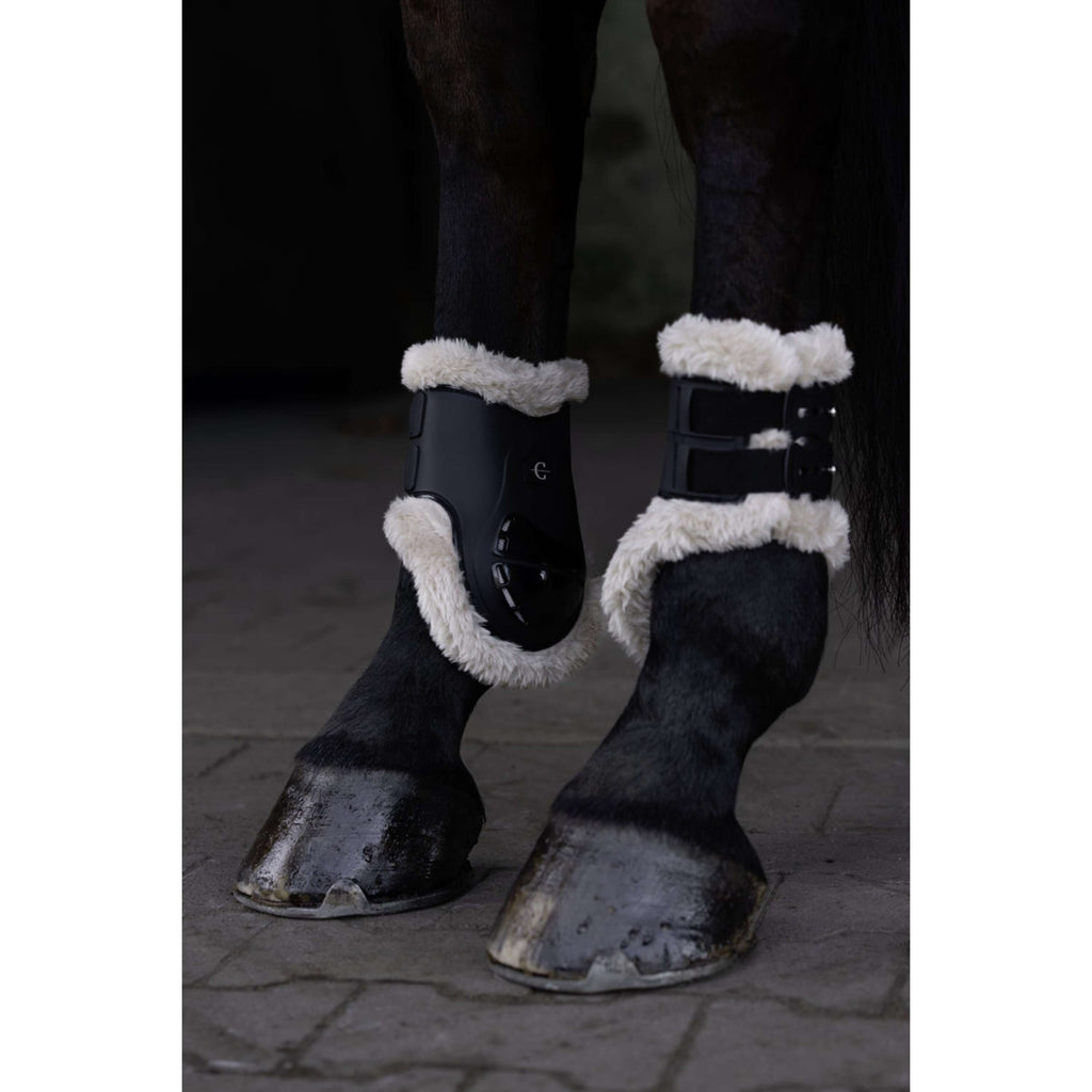 Covalliero Fetlock Boots AW26 Black