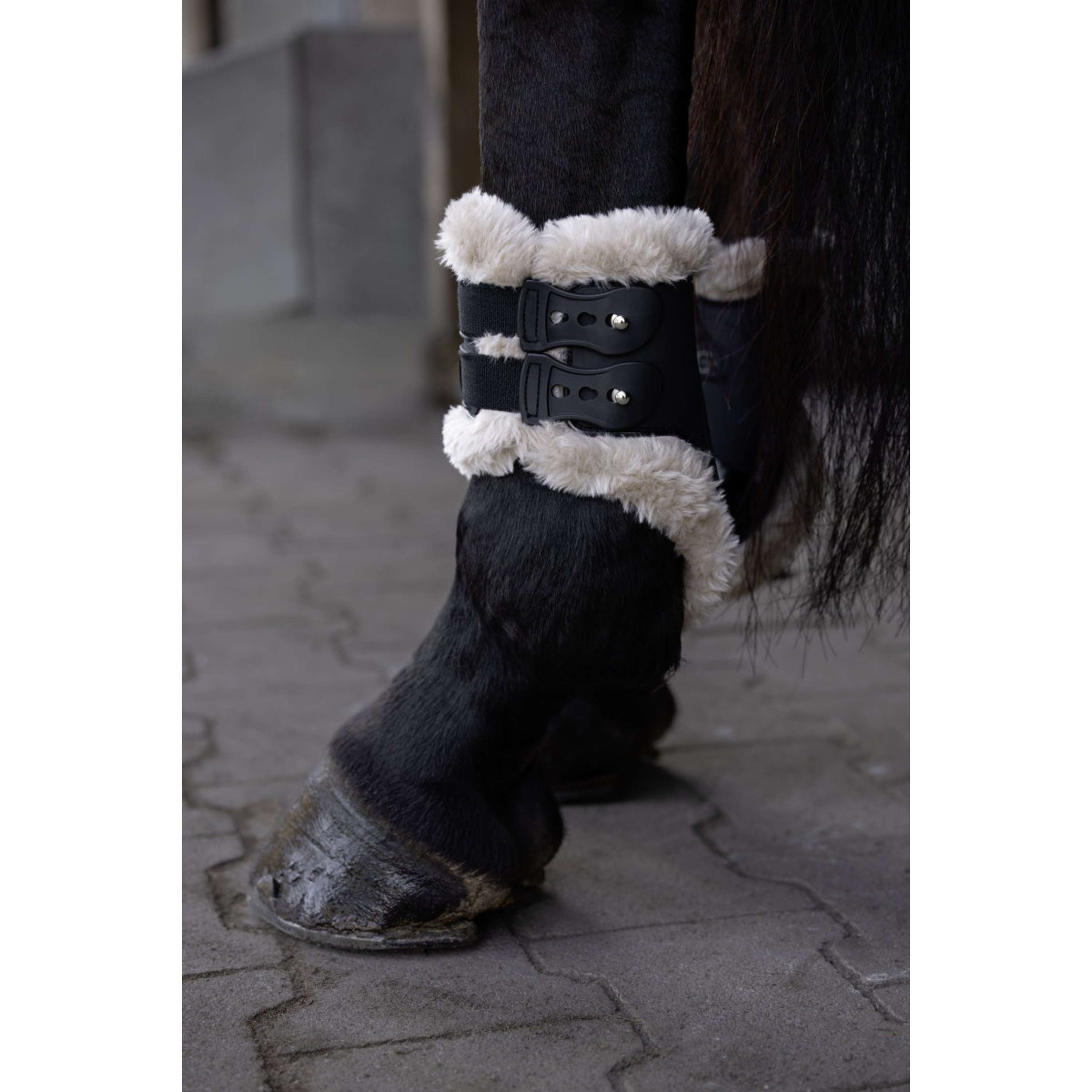 Covalliero Fetlock Boots AW26 Black