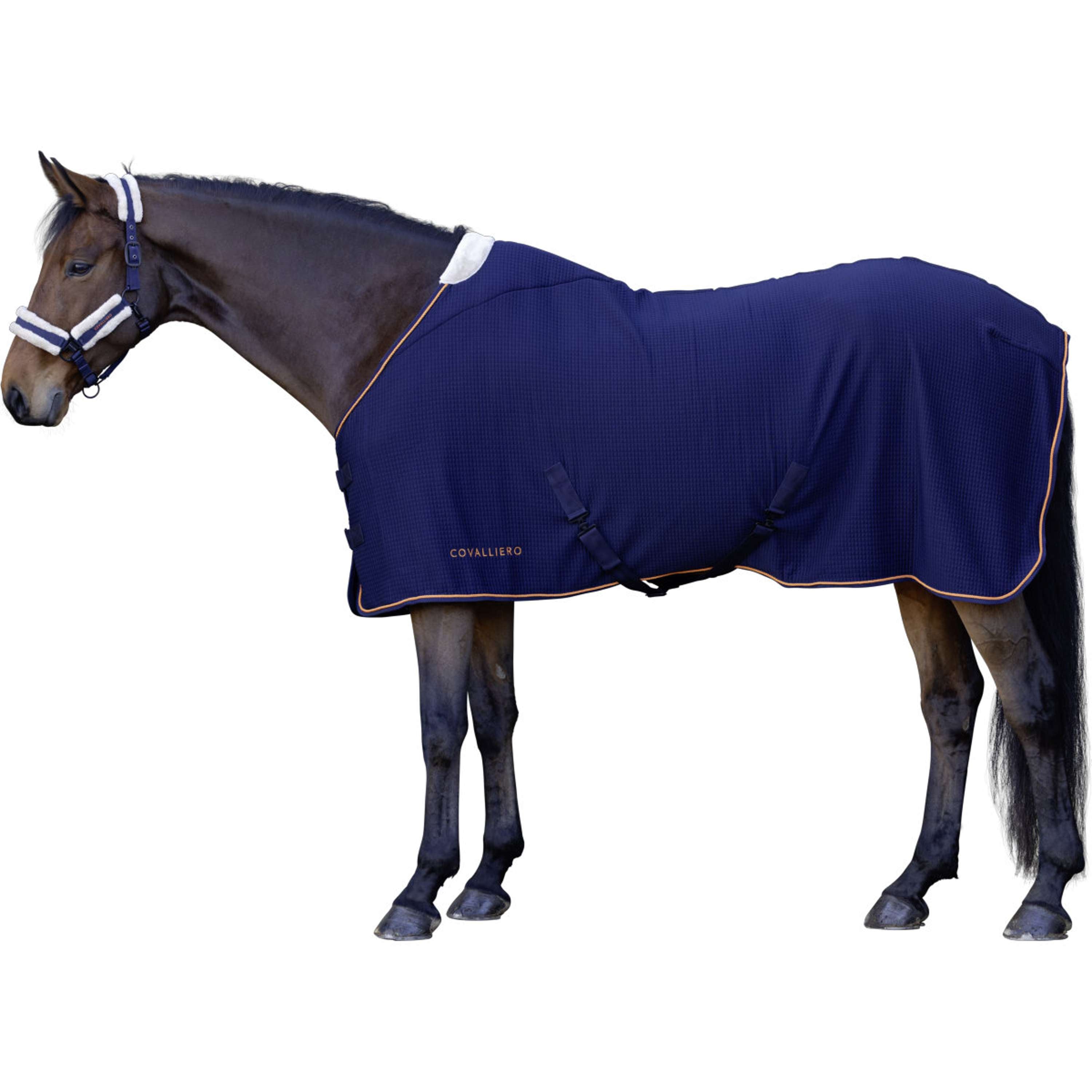 Covalliero Sweat Rug Premium AW26 Dark Navy