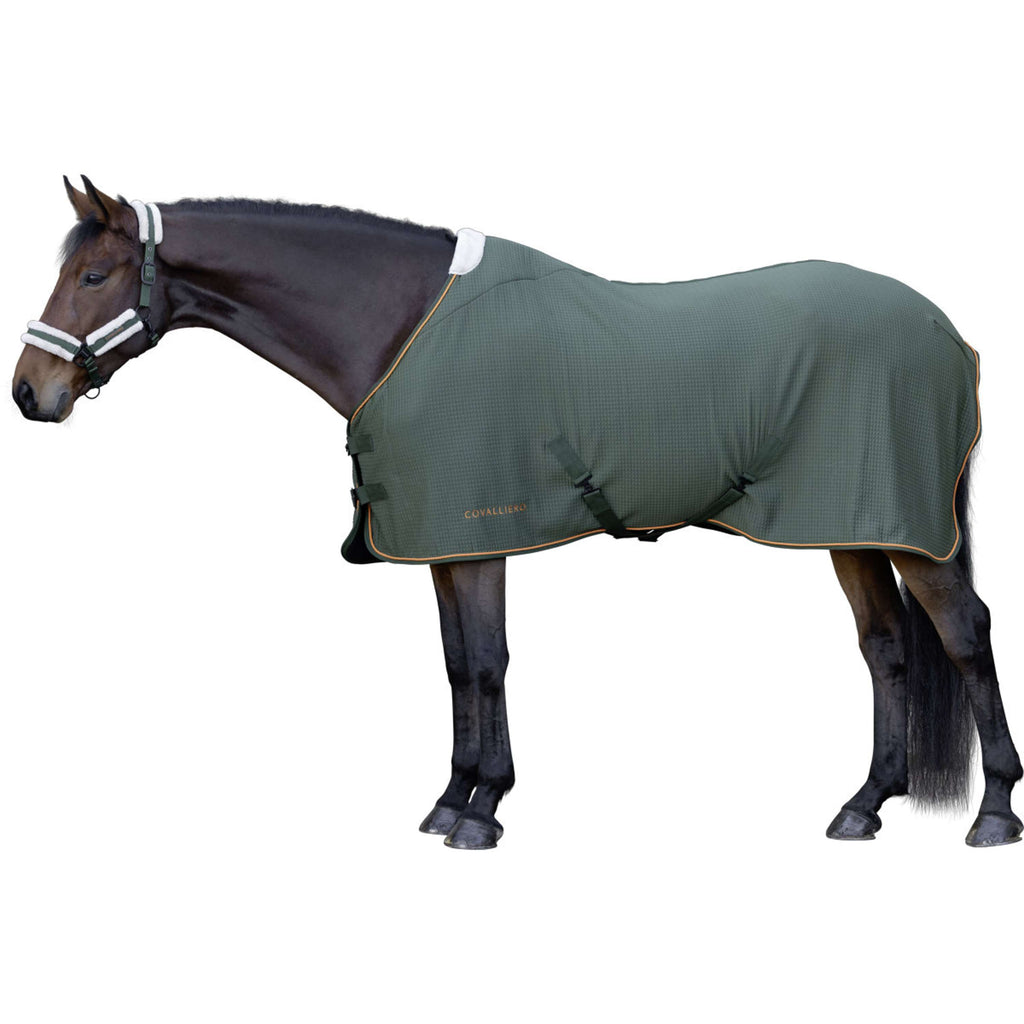 Covalliero Sweat Rug Premium AW26 Forest Green