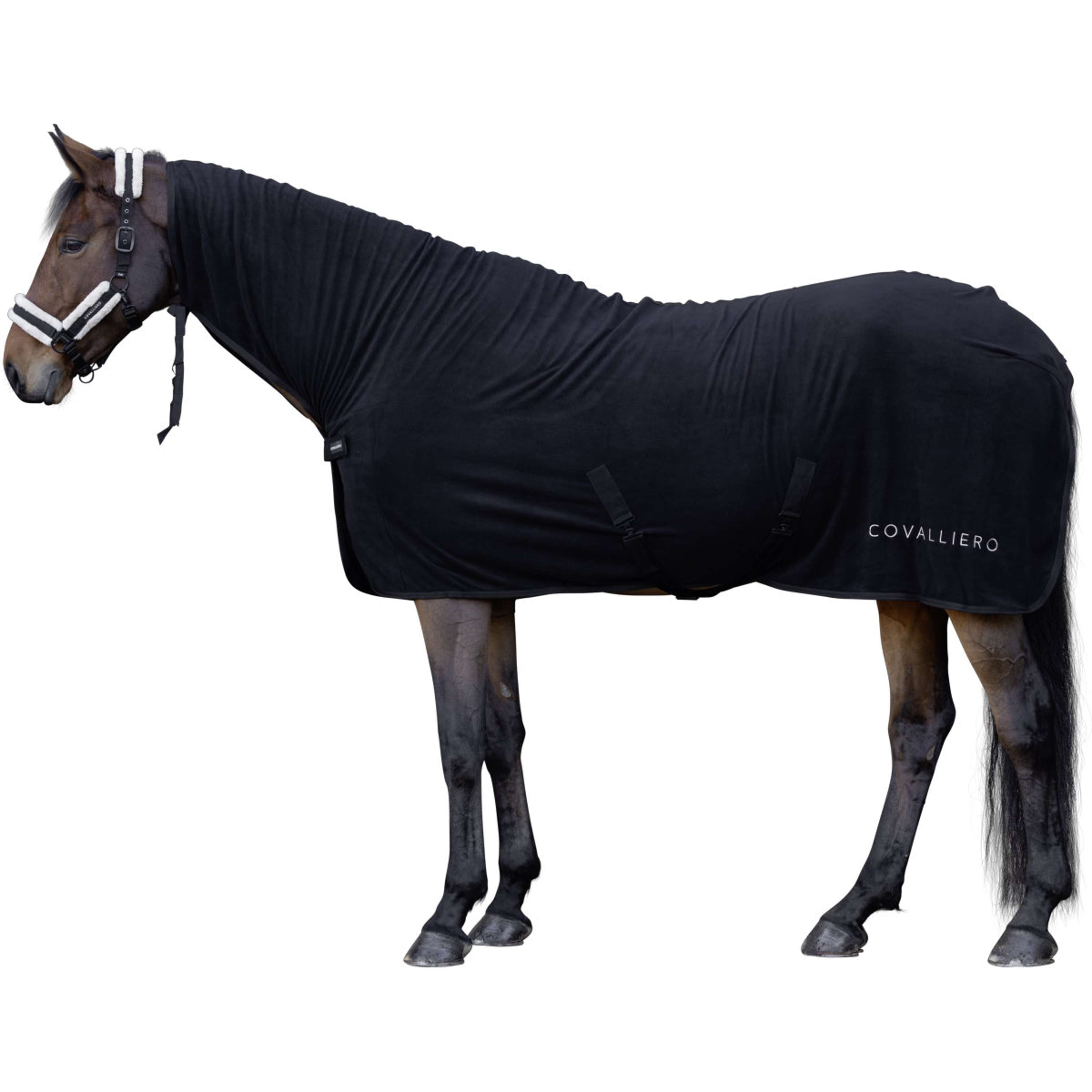 Covalliero Sweat Rug AW26 Black