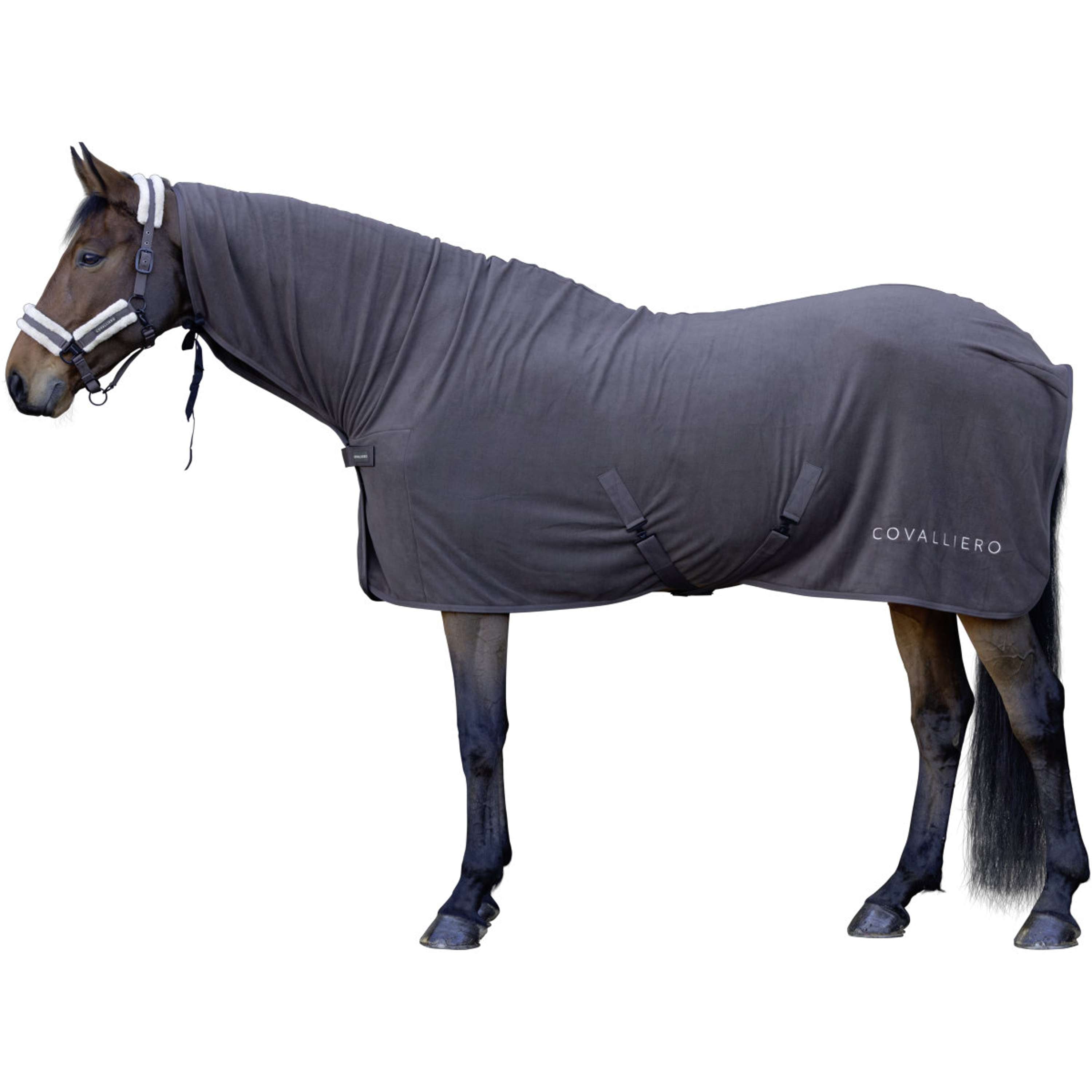 Covalliero Sweat Rug AW26 Milky Chocolate