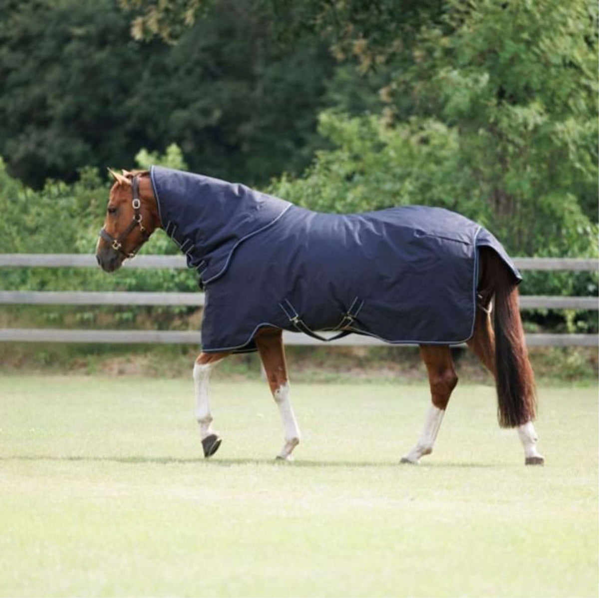 Dominick Rain Rug Paddock Lite 0g Navy