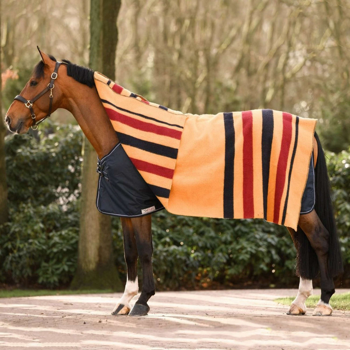 Dominick Wool Blanket Golden Stripe Newmarket