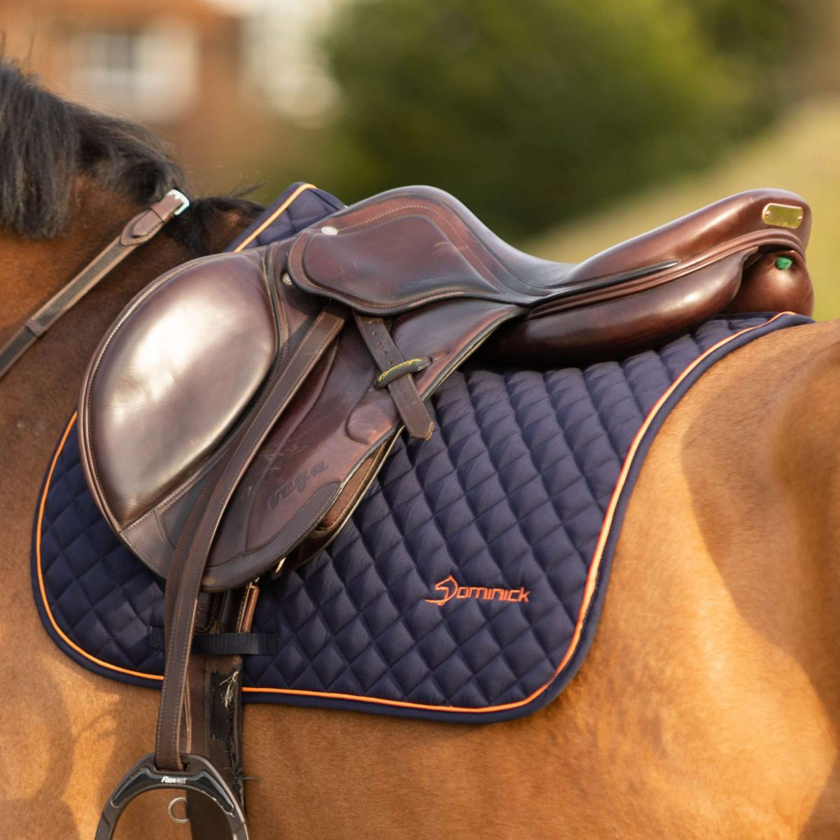 Dominick Saddlepad Dressage Navy/Oranje