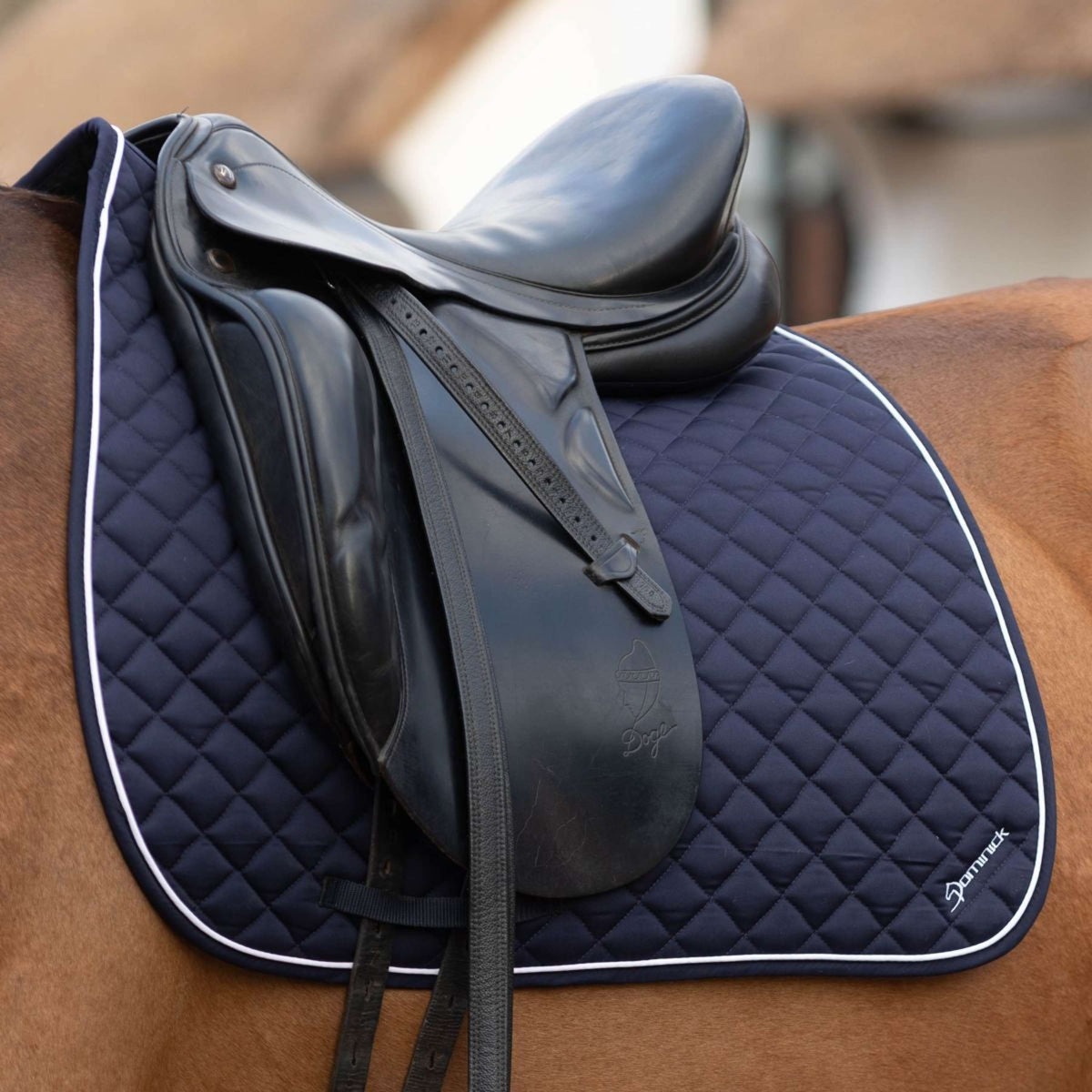 Dominick Saddlepad Dressage Navy/White