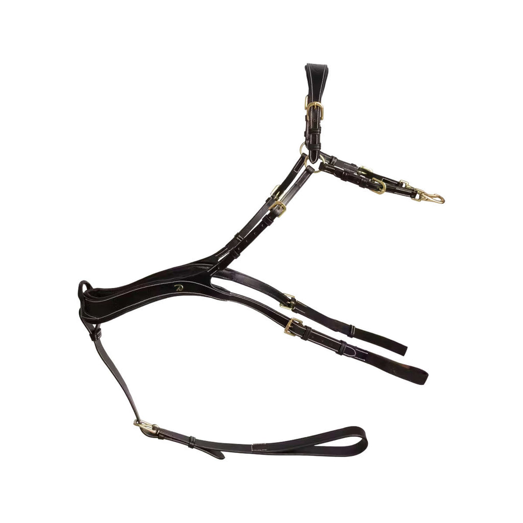 Dyon Chest Buckle Anatomical Black/Messing
