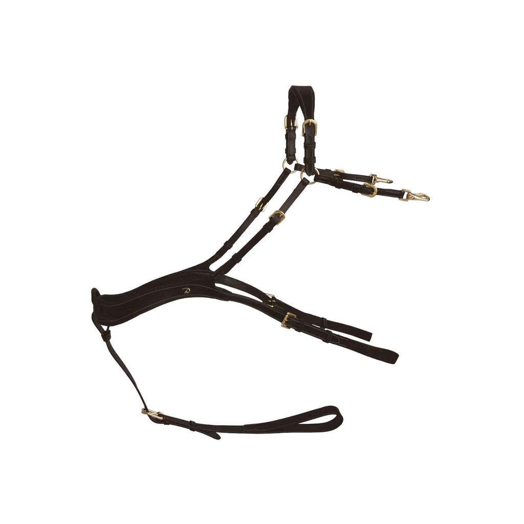 Dyon Chest Buckle Anatomical Brown/Messing