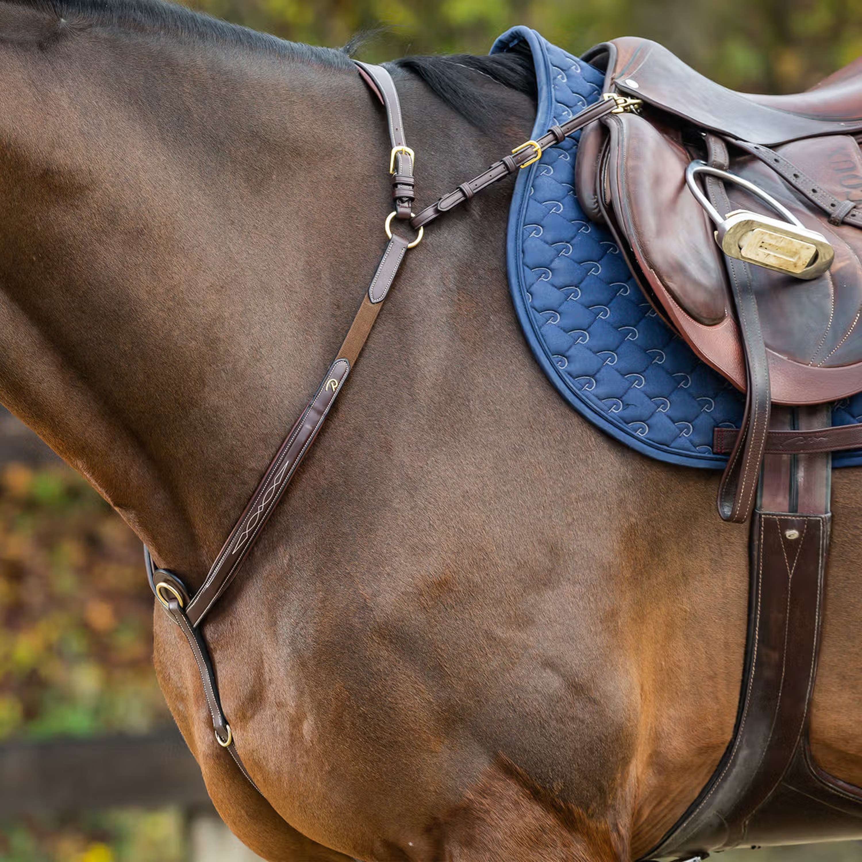 Dyon Chest Buckle Bridge Brown/Messing
