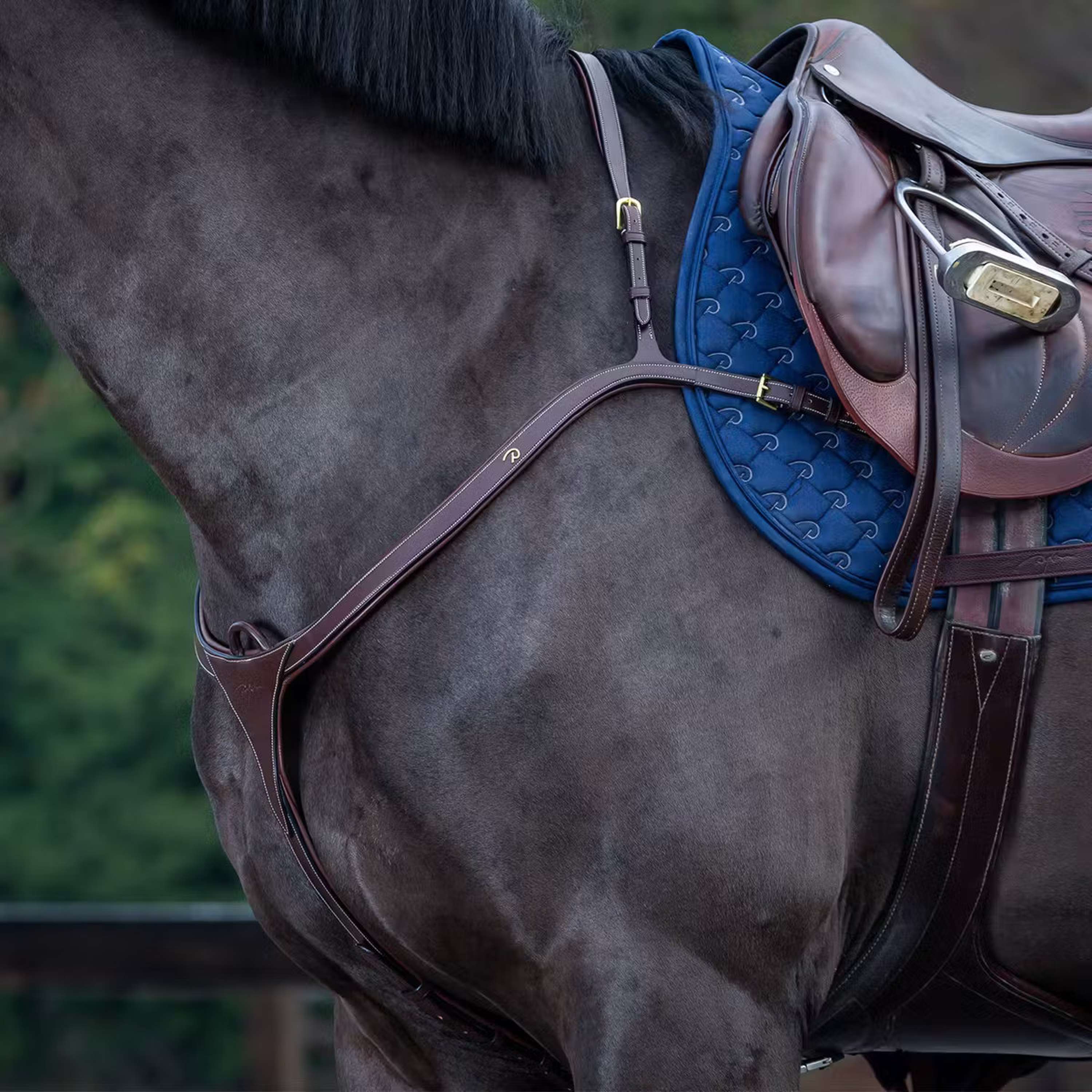 Dyon Chest Buckle Long Bridge Brown/Messing
