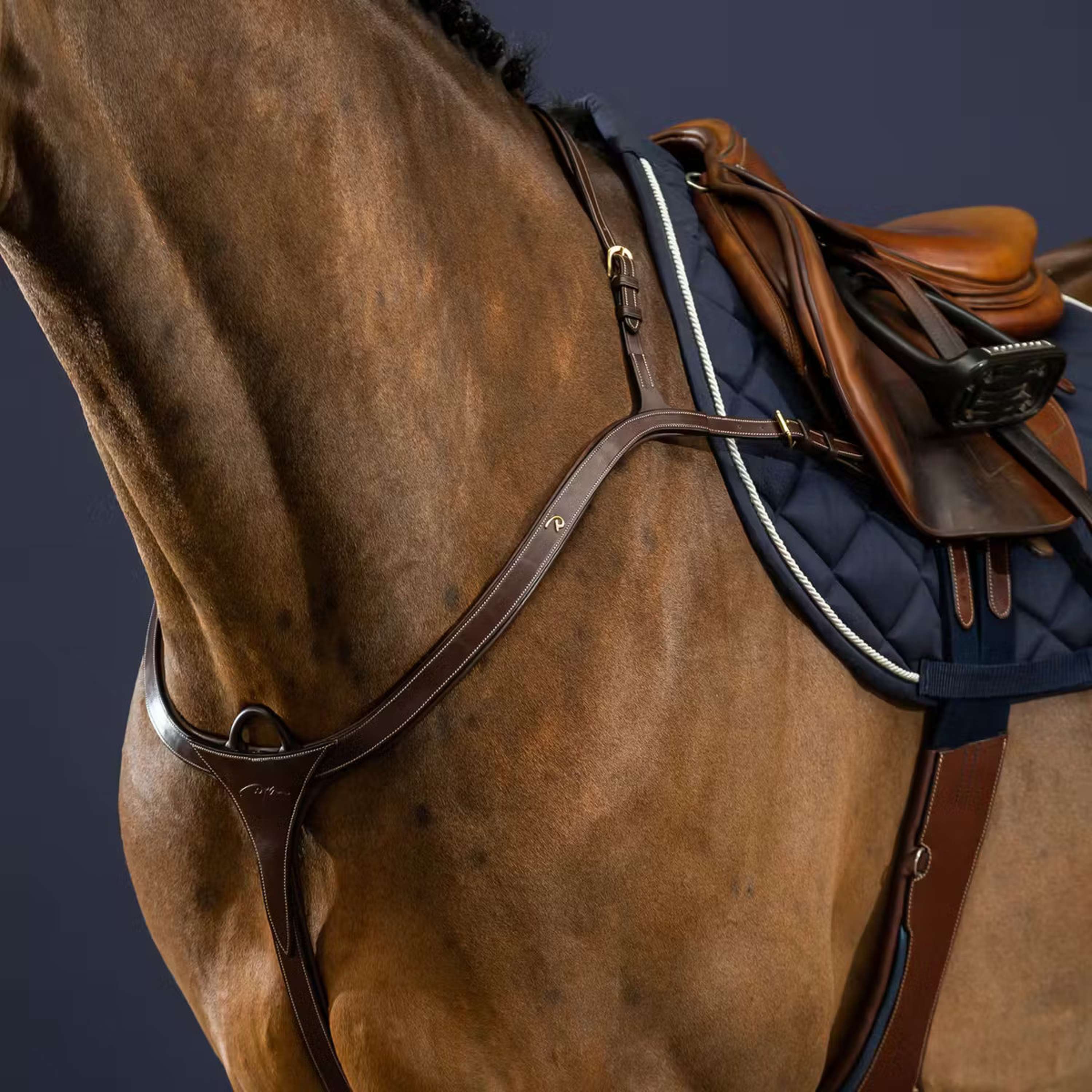Dyon Chest Buckle Long Bridge Brown/Messing