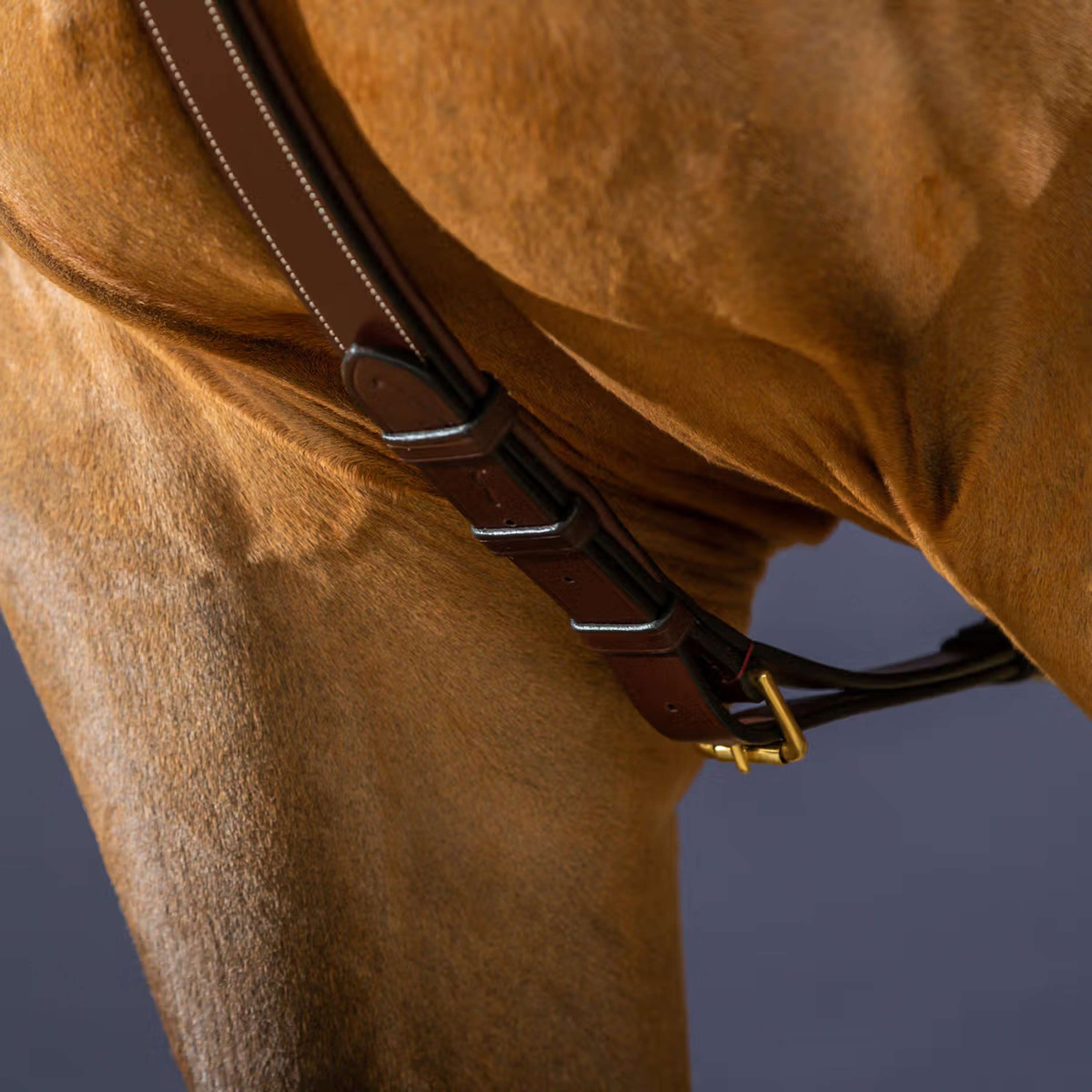 Dyon Chest Buckle Long Bridge Brown/Messing