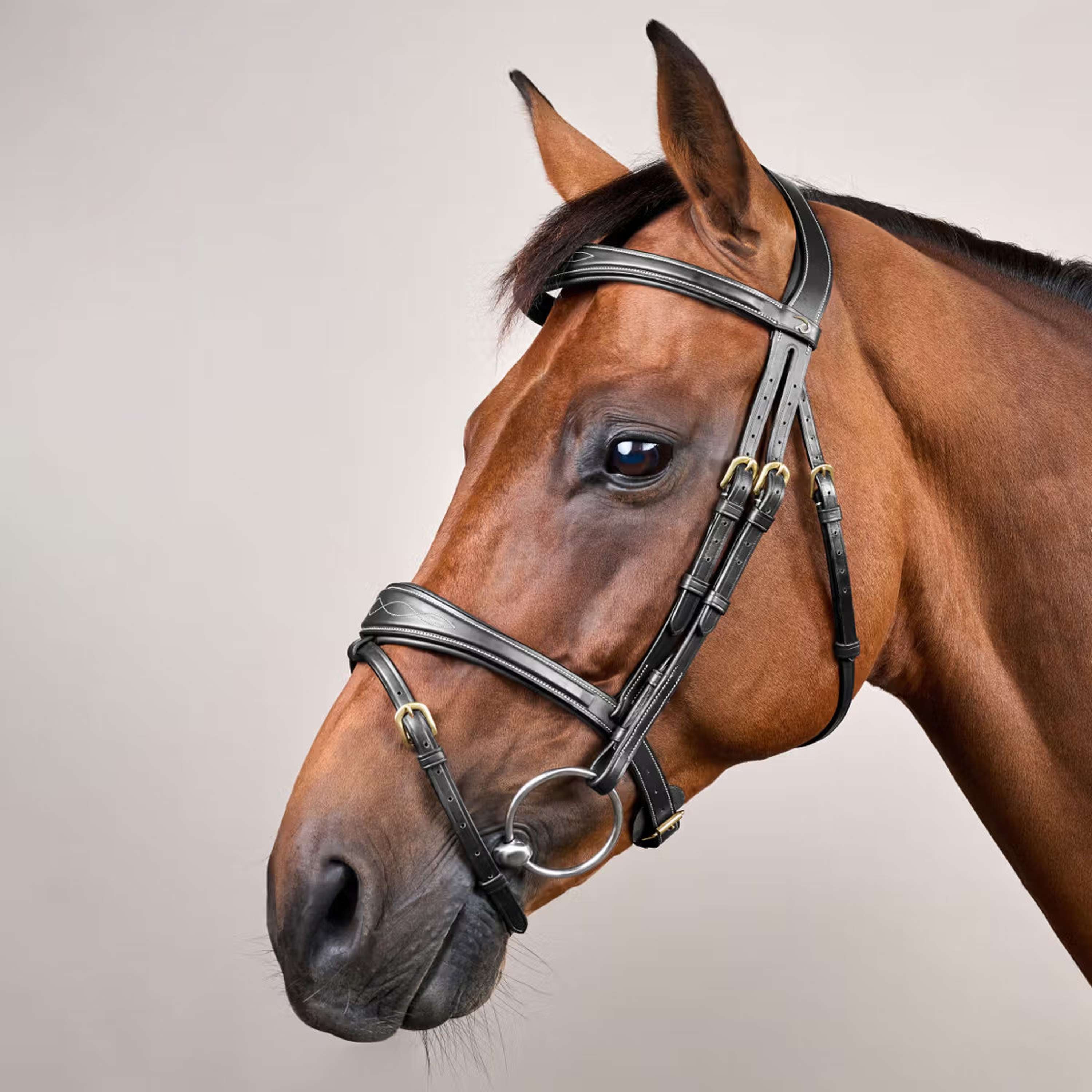 Dyon Bridle Anatomic Flash Black