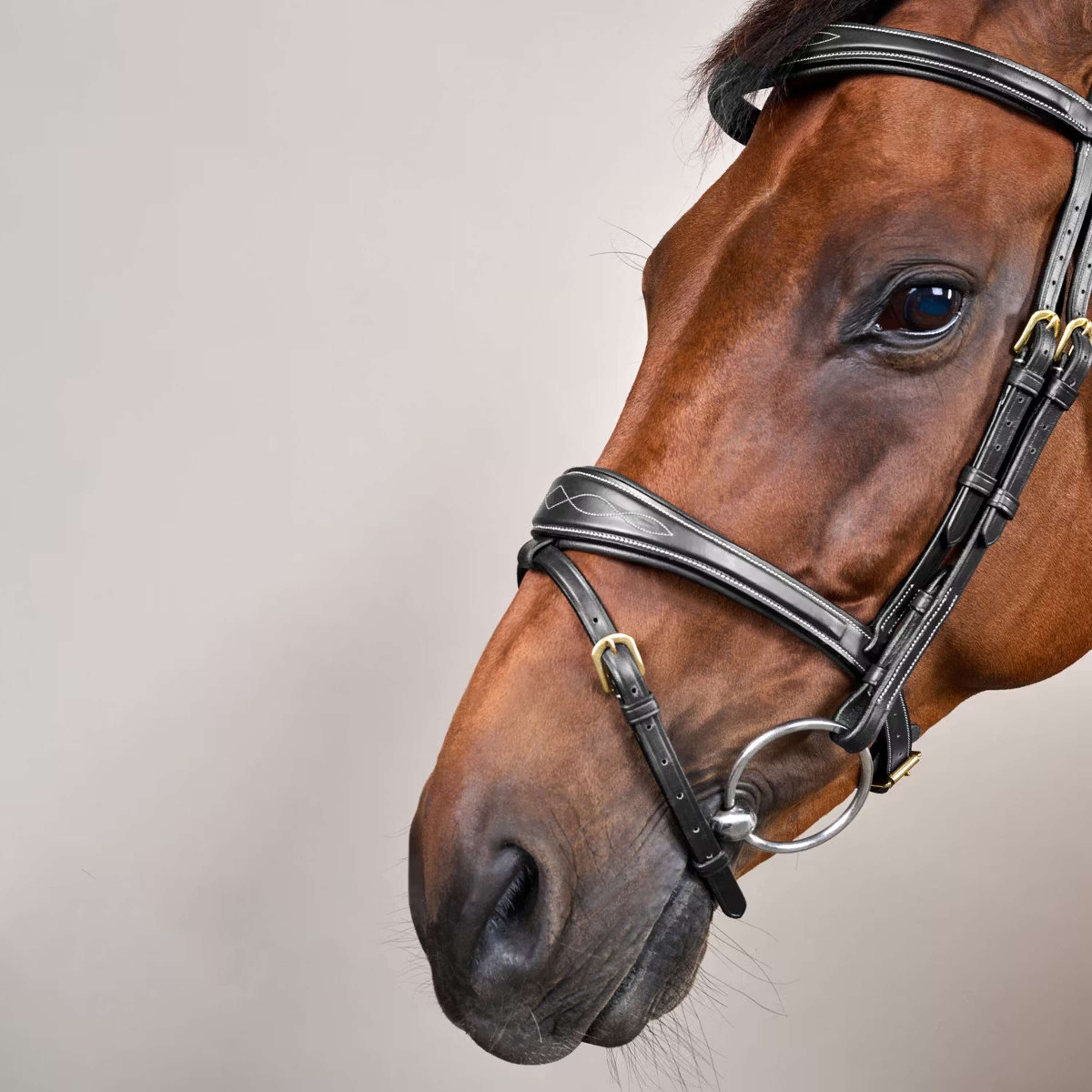 Dyon Bridle Anatomic Flash Black