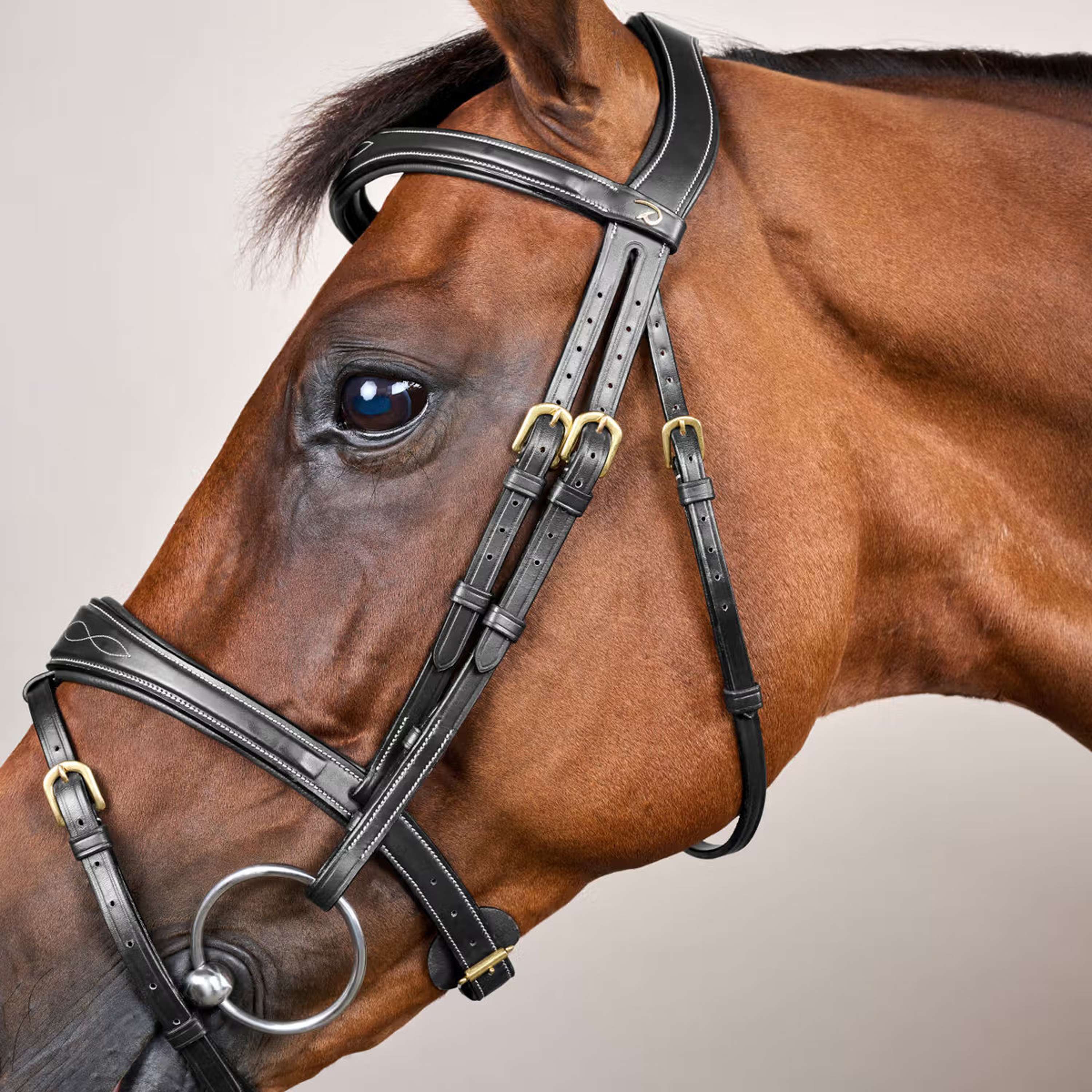 Dyon Bridle Anatomic Flash Black